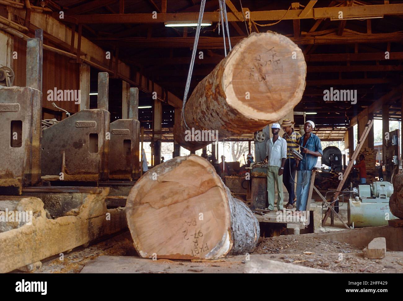 Sawmillworker lifting a heavy log towards a belt saw  in a sawmill near Accra, Ghana, West Africa. Stock Photo