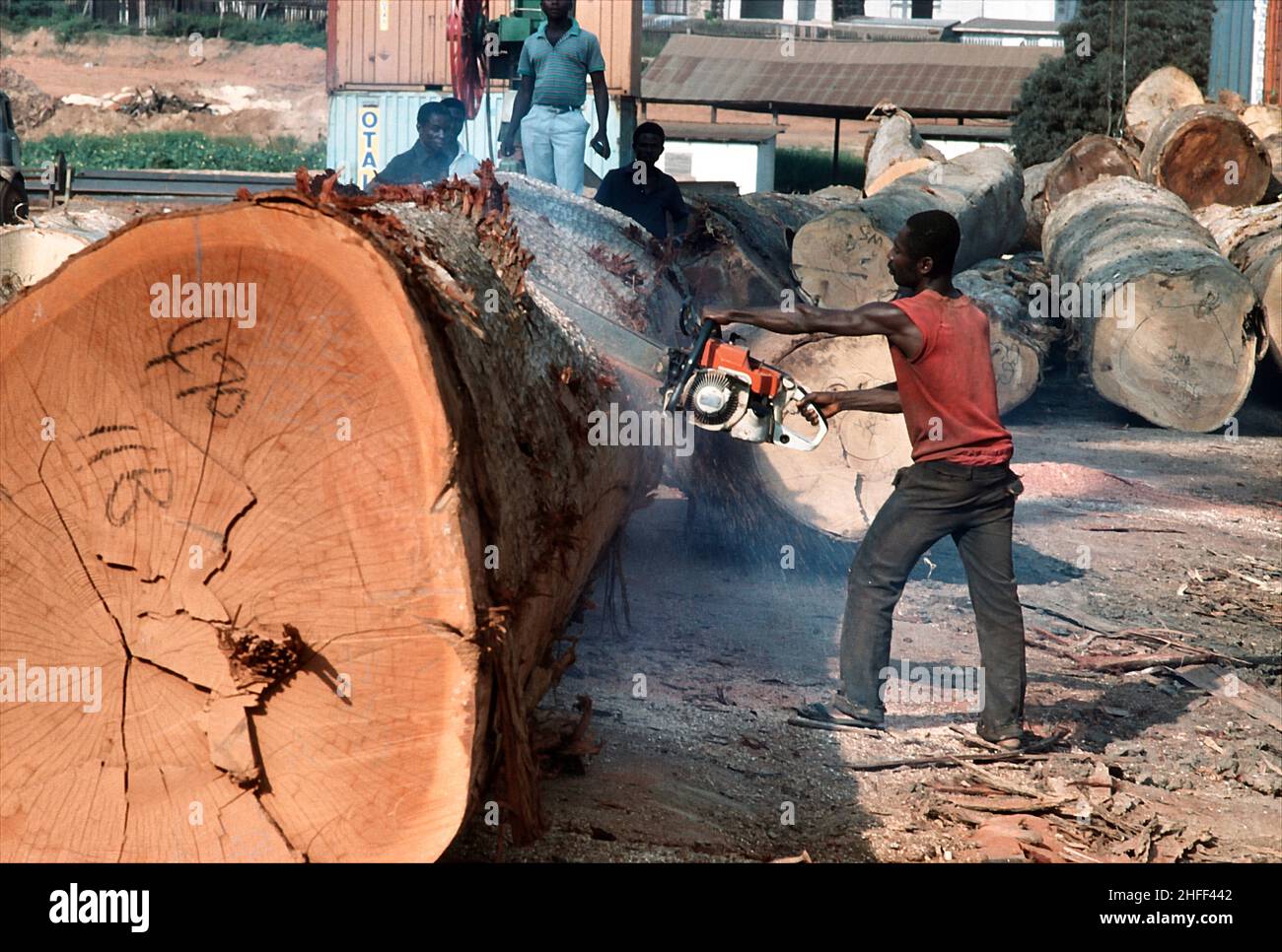 Sawmill worker cutting logs in a sawmill in Ghana, West Africa. Stock Photo