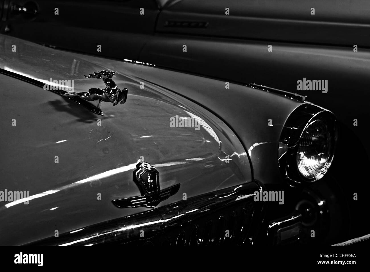 Photo cars Volga, GAZ 21,Emblem, Deer,emblem, symbol, sign Stock Photo