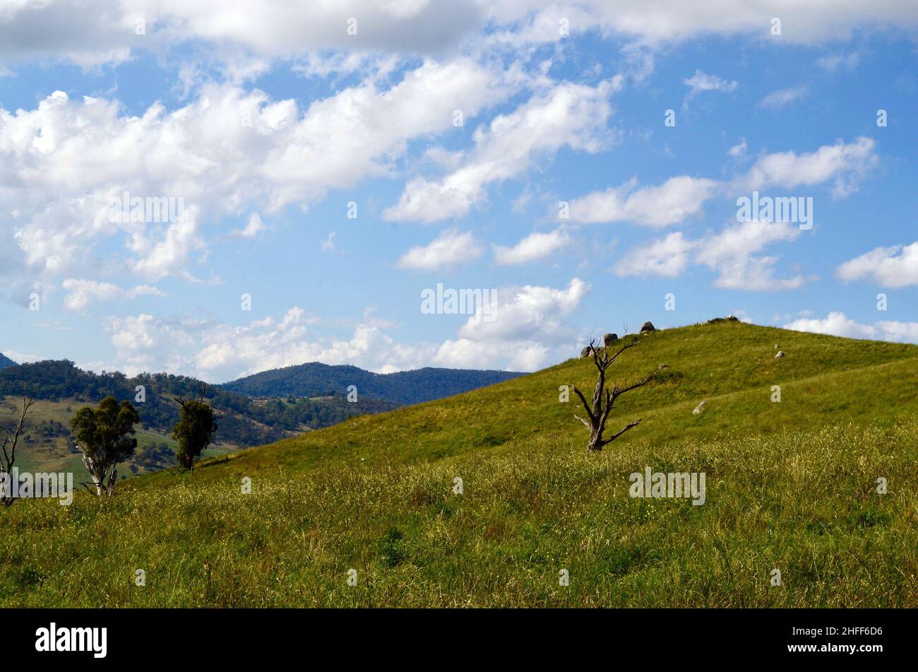 Grassy hill in australia hires stock