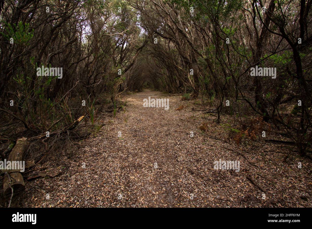 Hiking trail in Undertow Bay at Cape Paterson Caravan Park,Australia