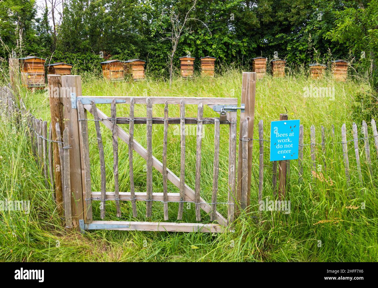 Bee hives in orchard hi-res stock photography and images - Alamy