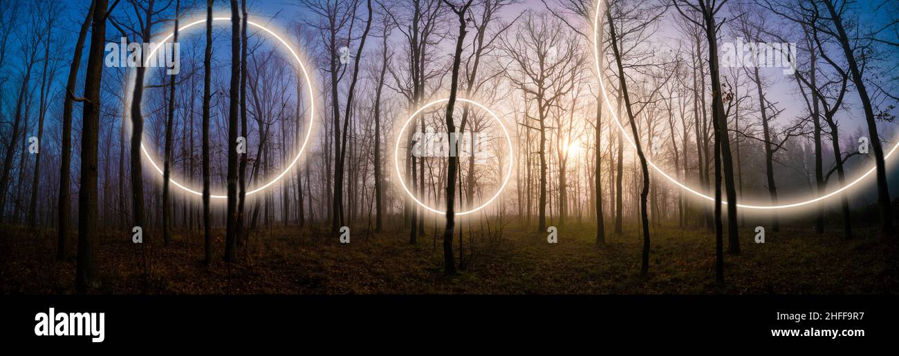 Panorama of the morning forest in the rising sun and abstract mystical ...