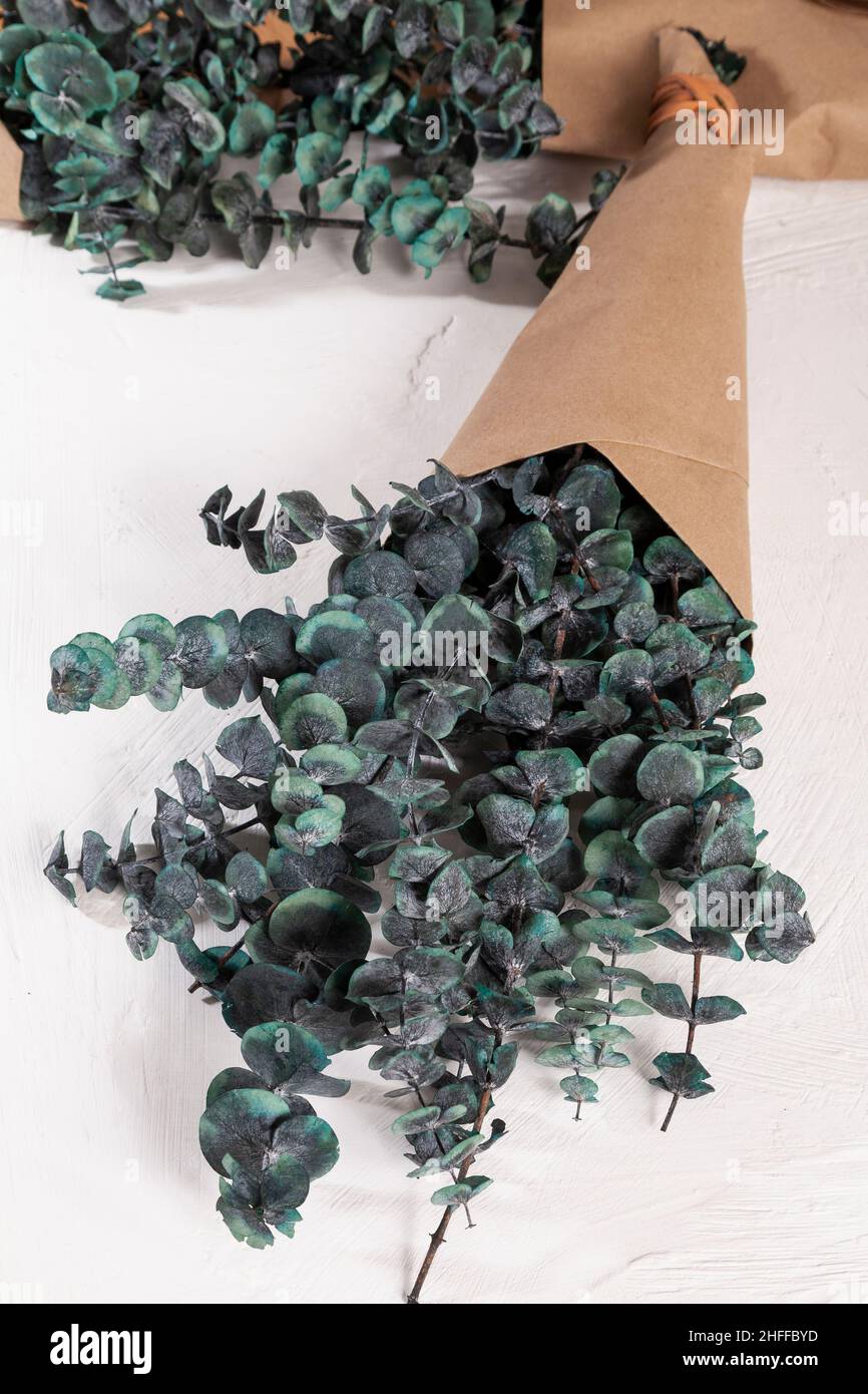 Eucalyptus Eucalyptus Leaves Plant With Many Medicinal Properties