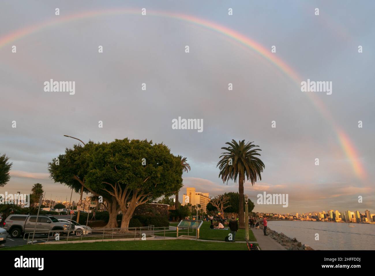 Tsunami san diego size