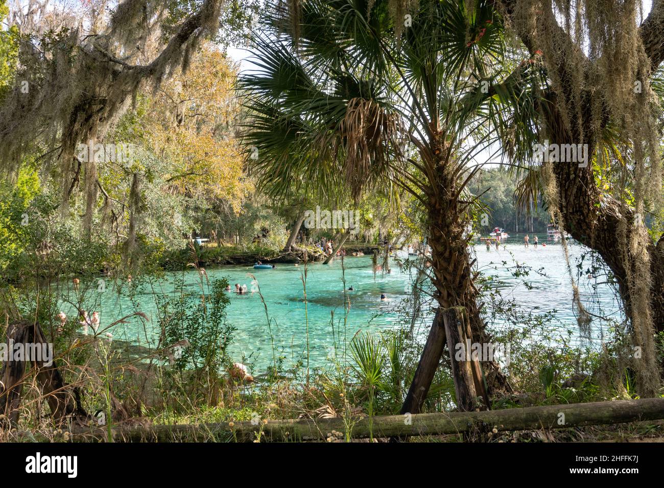 Silver Glen Springs Stock Photo Alamy