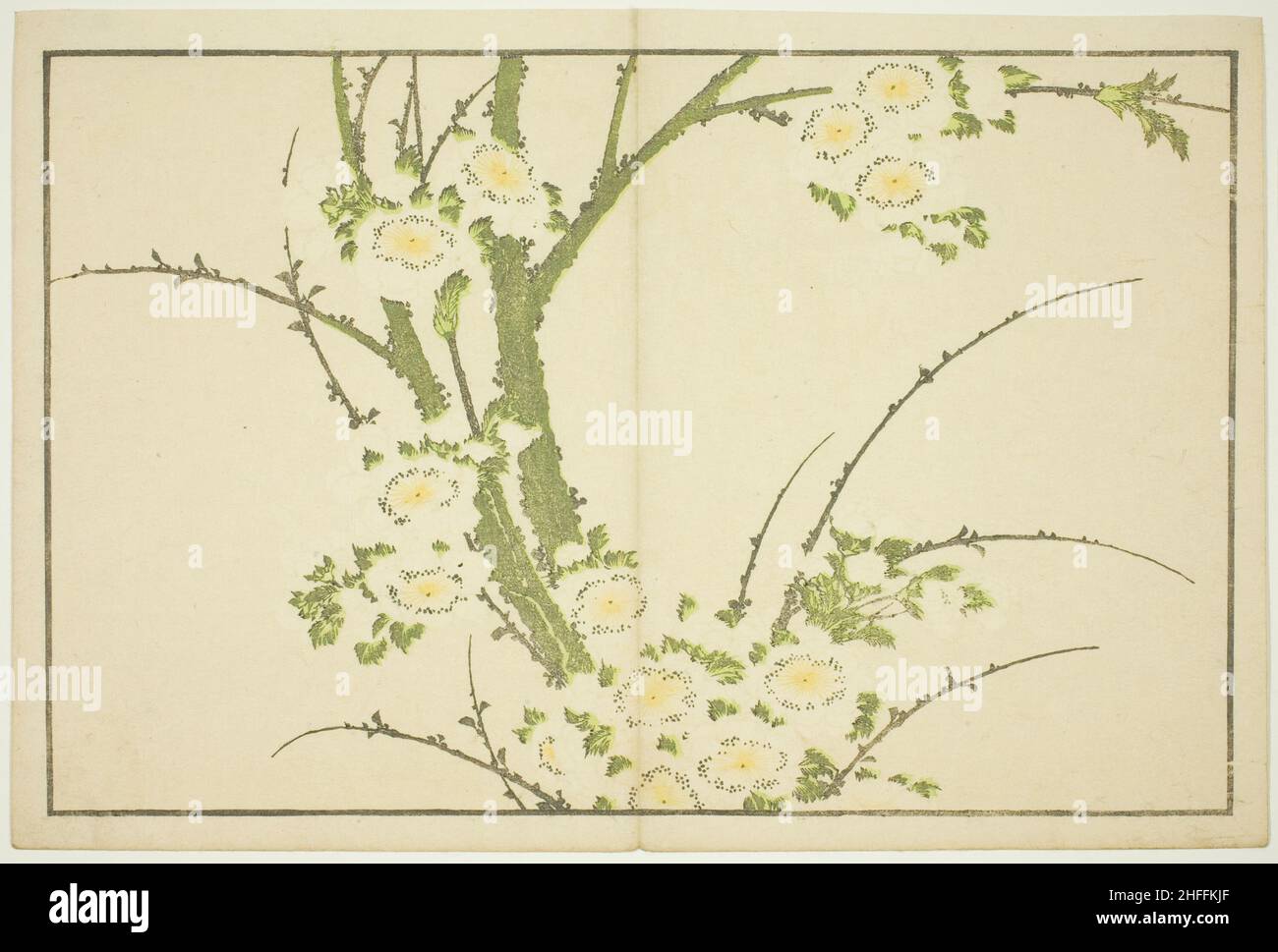 Flowers, from The Picture Book of Realistic Paintings of Hokusai (Hokusai shashin gafu), Japan, c. 1814. Stock Photo