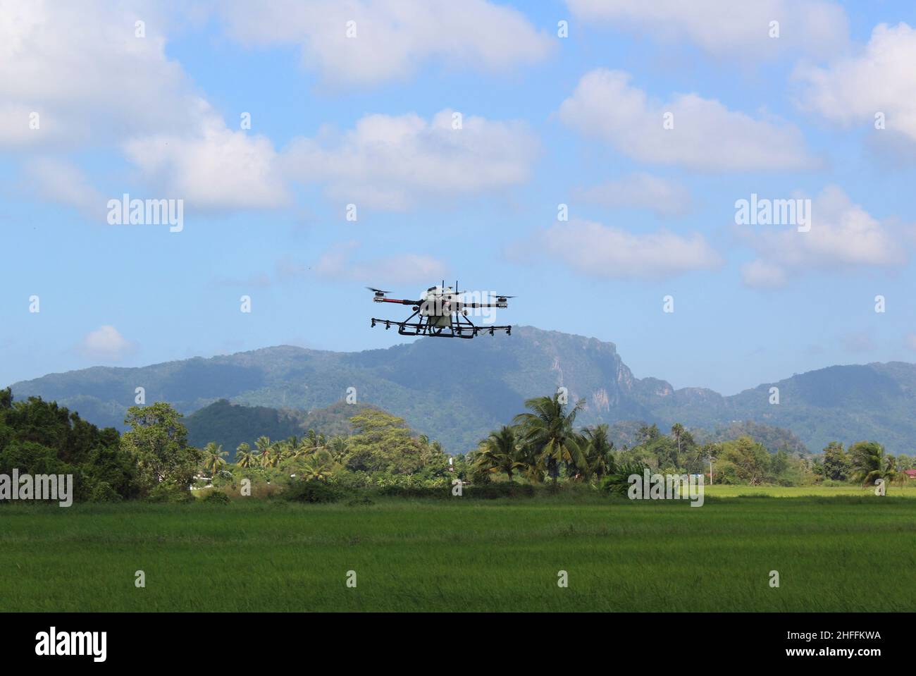 Agricultural drone use to spray pesticides in paddy field Stock Photo