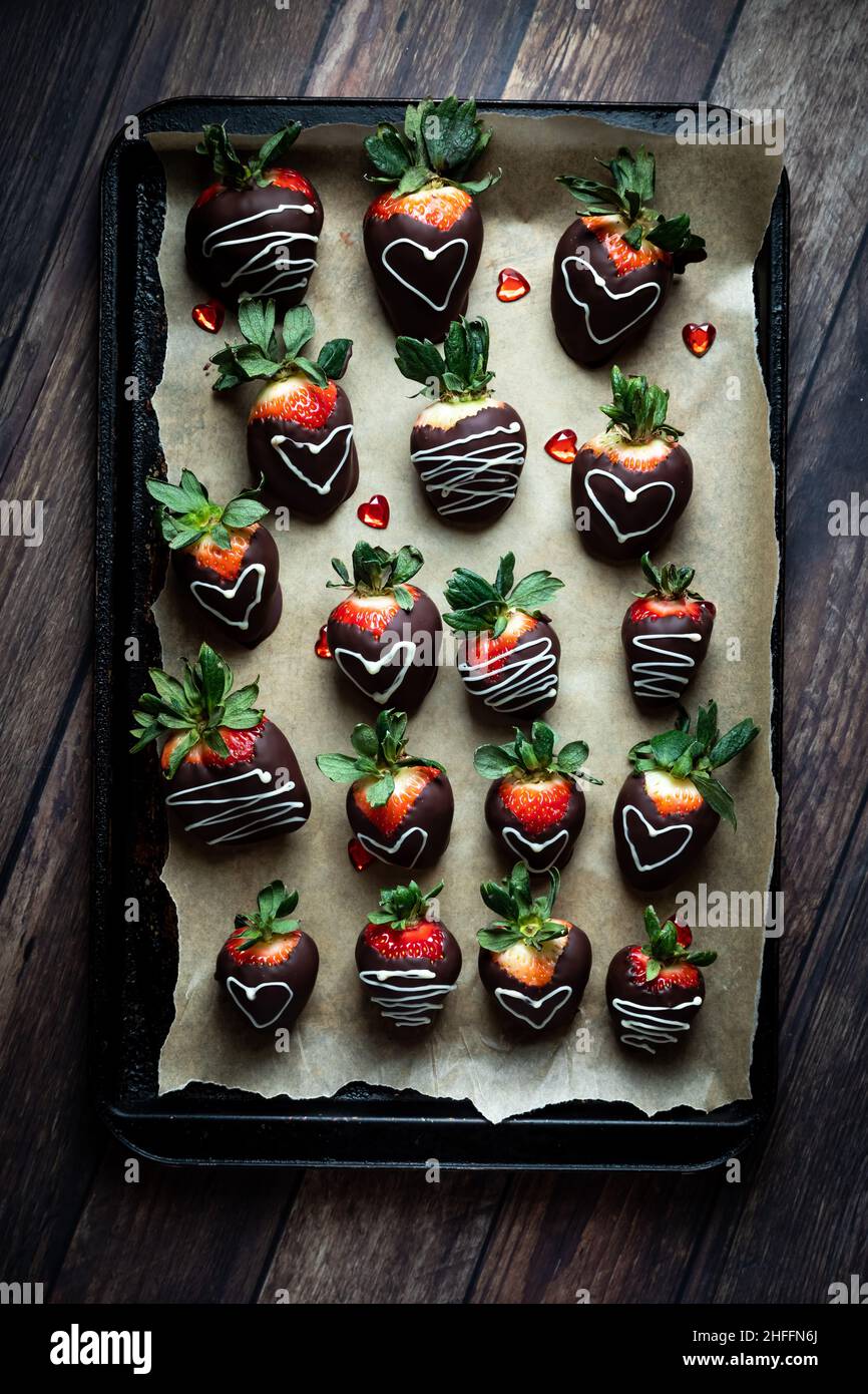Chocolate covered strawberries on a parchment lined cookie sheet Stock