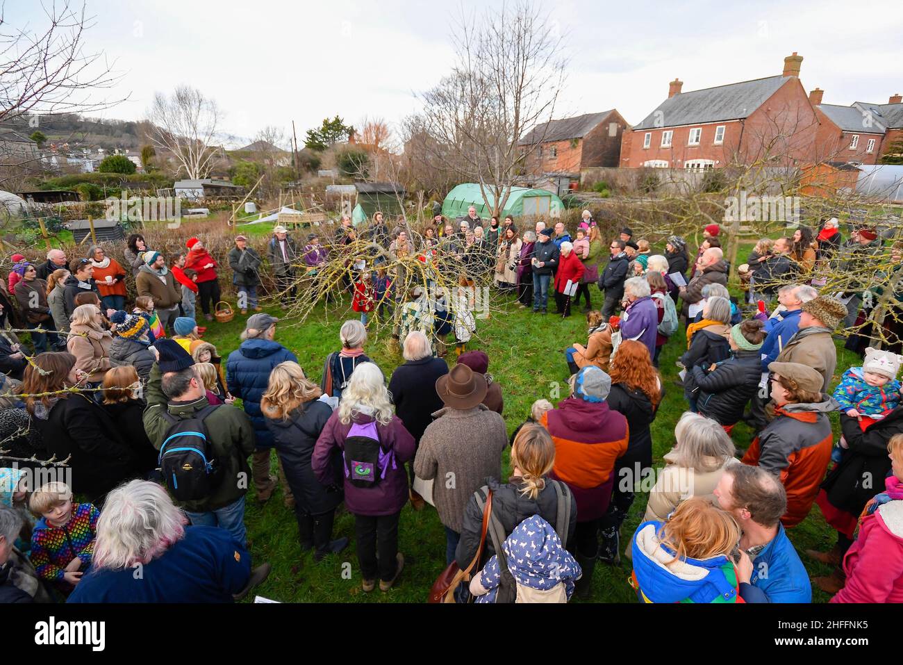 Bridport, Dorset, UK.  16th January 2022.  Crowds gather around one of the apple trees during at the Wassailing at Bridport Community Orchard in Dorset.  Wassailing is a traditional and ancient winter celebration.  Wassail is derived from the the Anglo-Saxon “waes haeil” - to be healthy.  The celebration is used to drive away evil spirits and encourage a good apple crop the following season.  Picture Credit: Graham Hunt/Alamy Live News Stock Photo