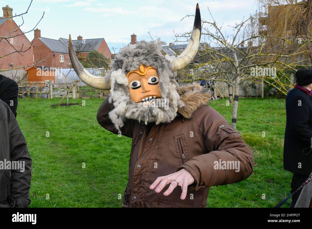Bridport, Dorset, UK.  16th January 2022.  Folklore character the Dorset Ooser which is a horned-face mask at the Wassailing at Bridport Community Orchard in Dorset.  Wassailing is a traditional and ancient winter celebration.  Wassail is derived from the the Anglo-Saxon “waes haeil” - to be healthy.  The celebration is used to drive away evil spirits and encourage a good apple crop the following season.  Picture Credit: Graham Hunt/Alamy Live News Stock Photo