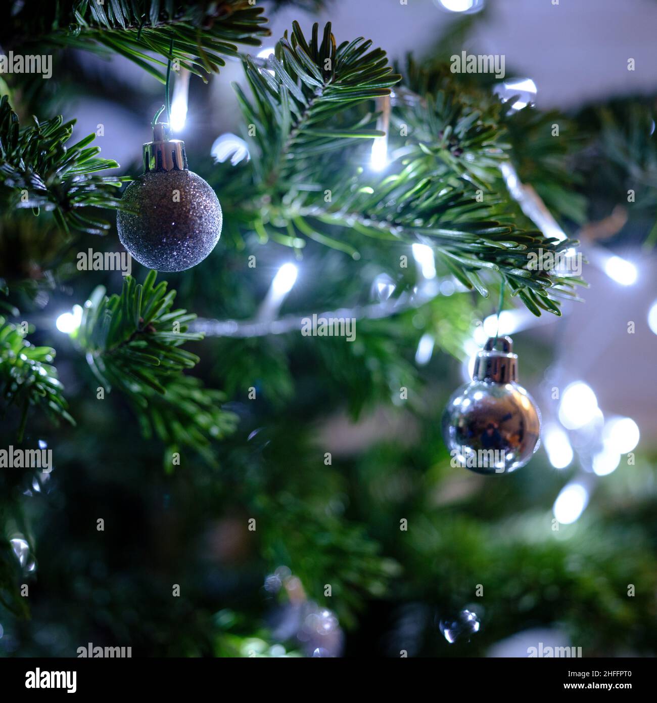 Silver Christmas baubles hanging on a Norway Spruce Christmas Tree  on Monday, Dec. 27, 2021. Stock Photo