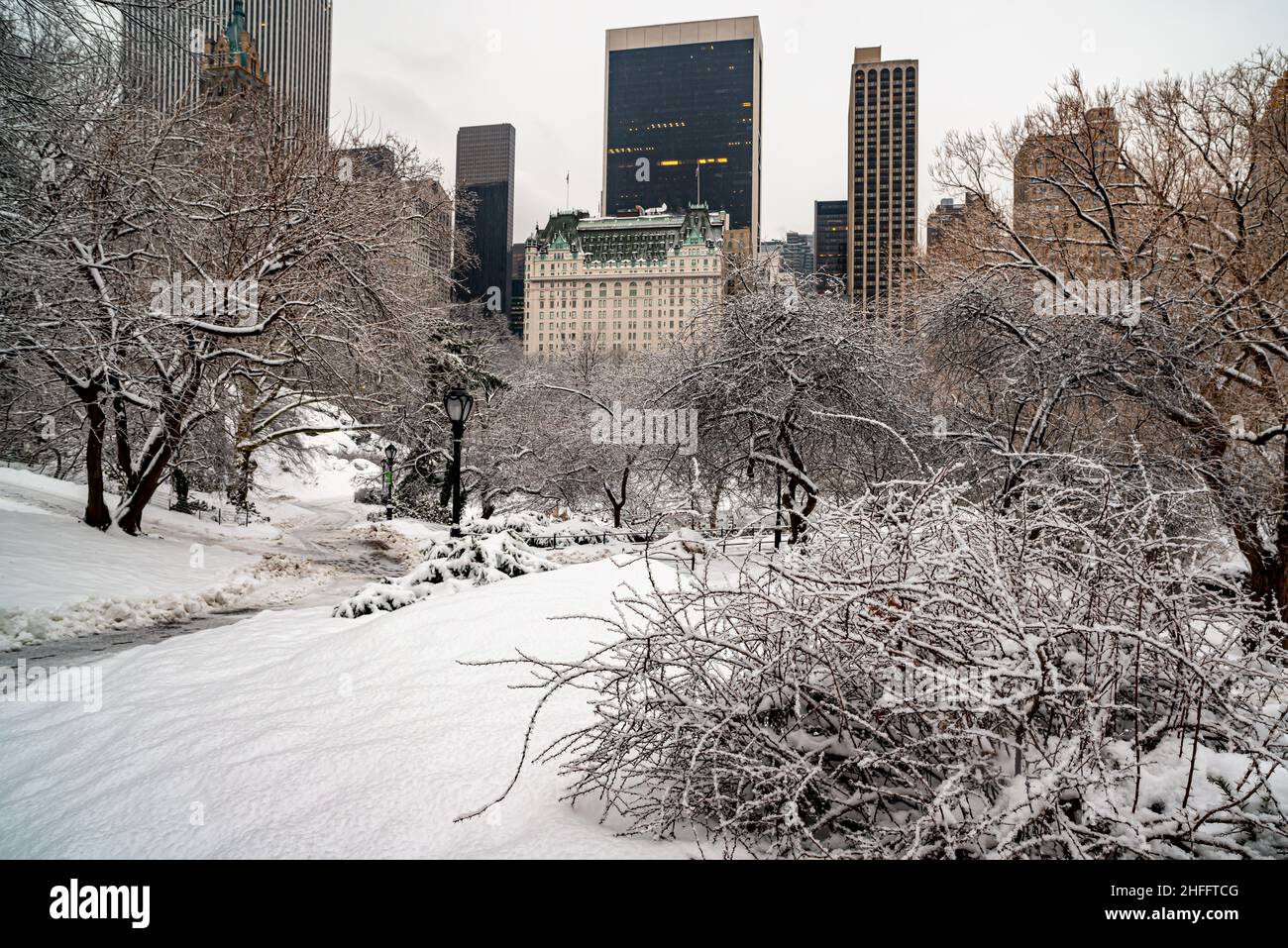 Central Park in winter after snow storm, New York City Stock Photo - Alamy