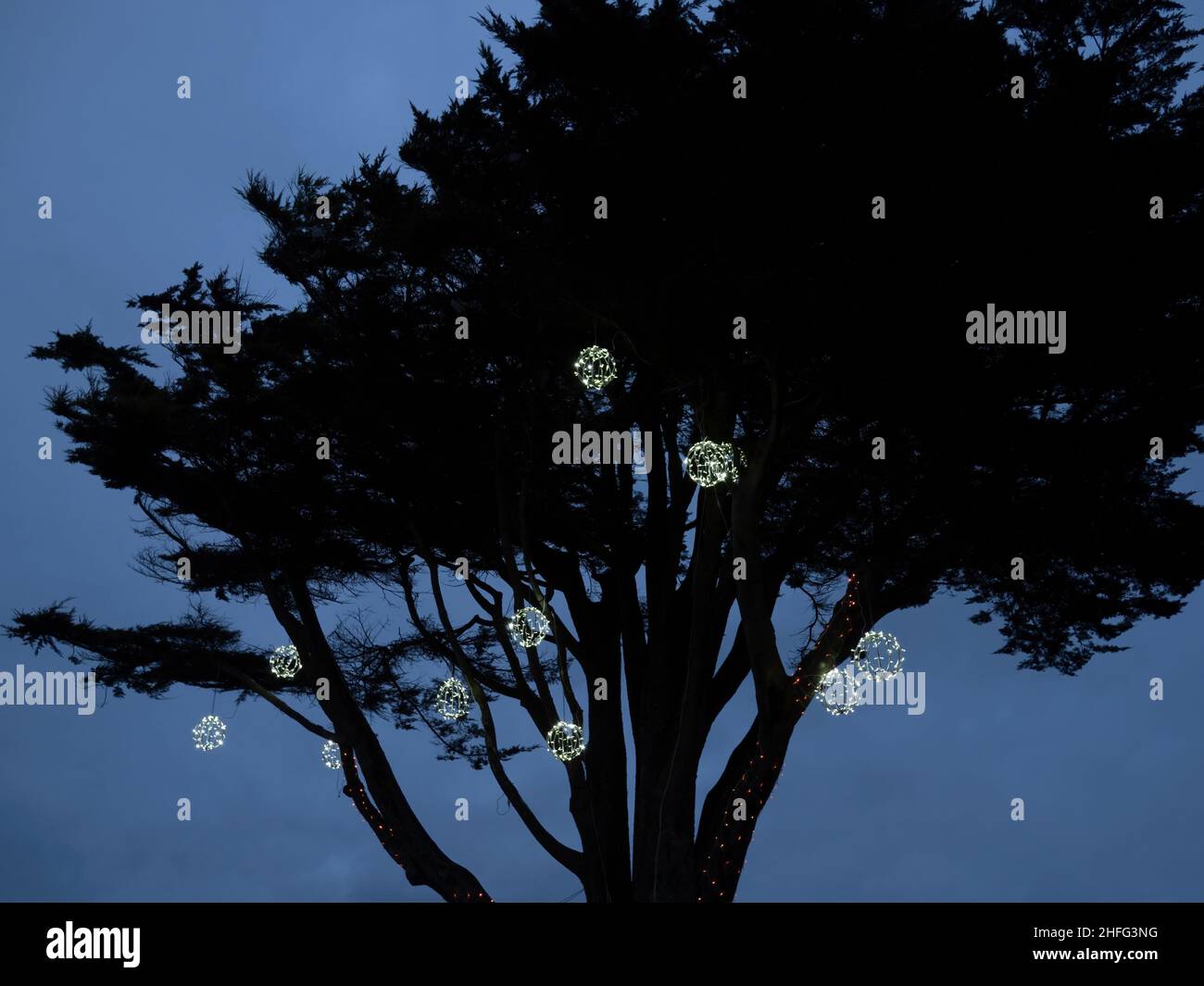 Christmassy tree, decorated outdoors with lights. Stock Photo