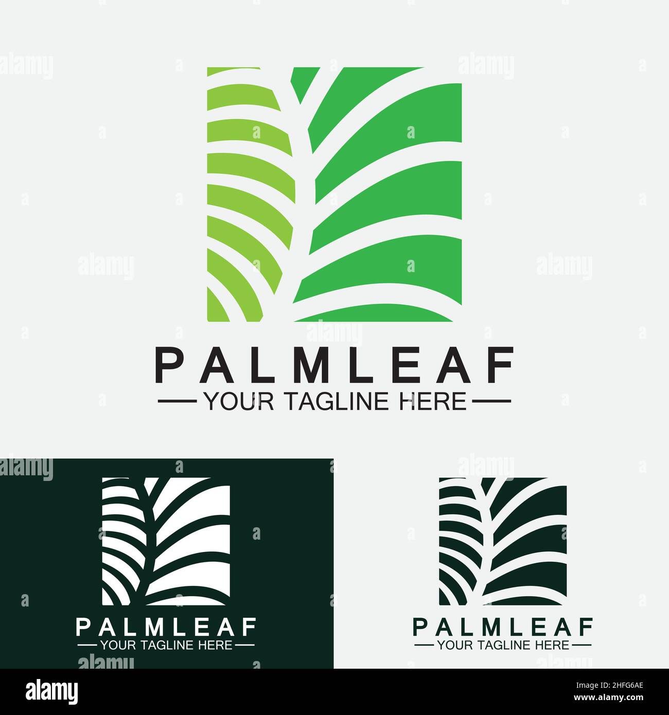 Tropical Palm leaf logo vector design template Stock Vector