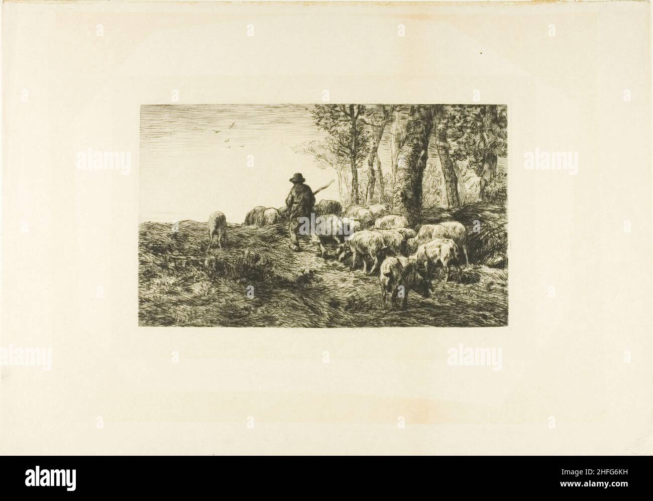 Herd of Pigs with Swineherd, 1878. Stock Photo
