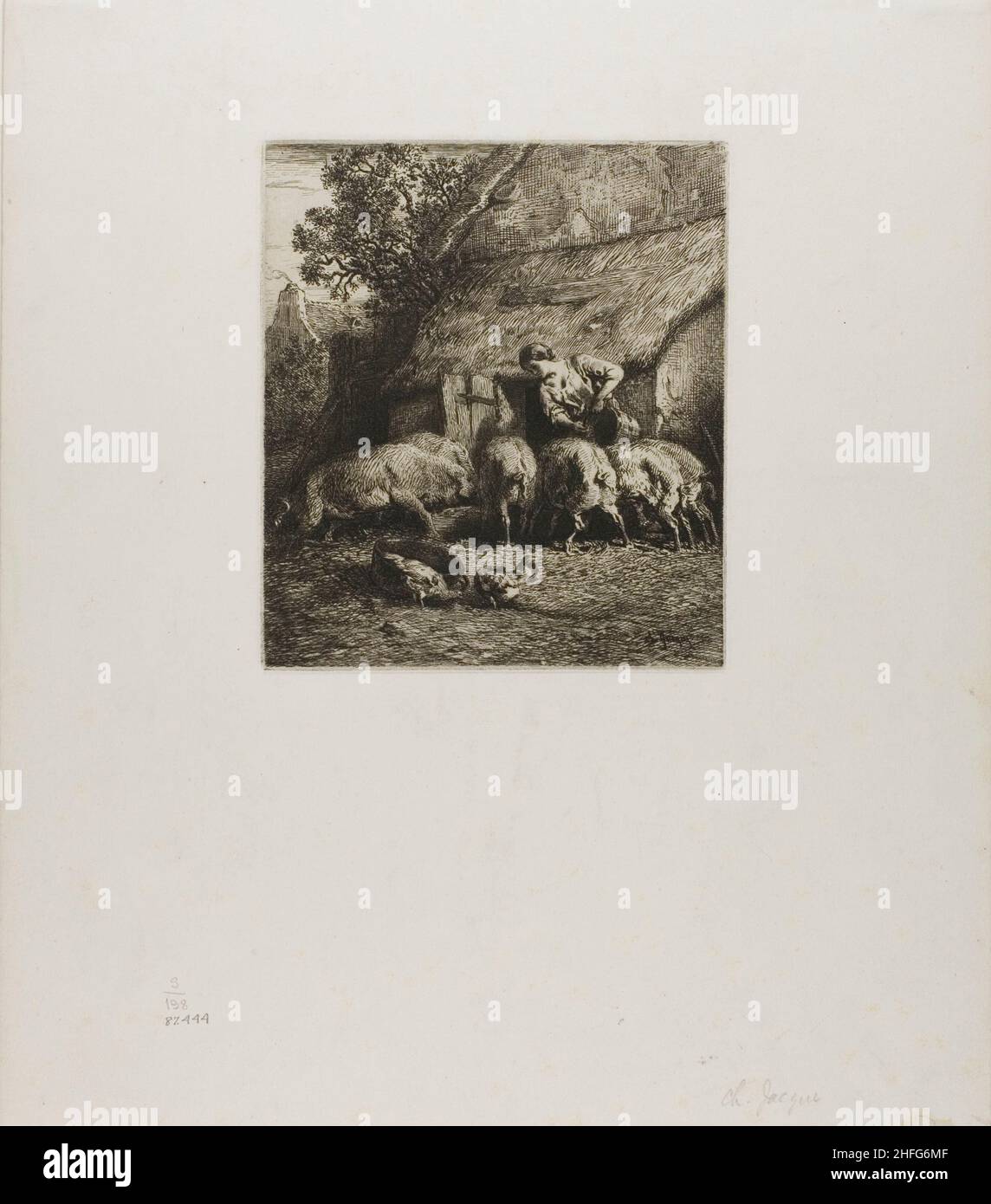 Woman Feeding Six Pigs, 1850. Stock Photo