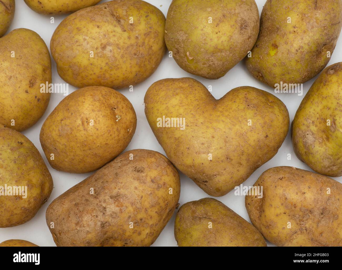 Selection of potatoes on a white background with a heart shape potato amongst the selection. Stock Photo
