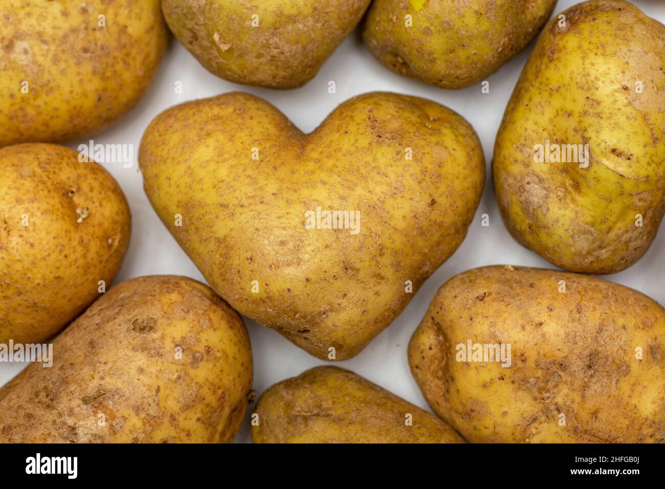 Selection of potatoes on a white background with a heart shape potato amongst the selection. Stock Photo