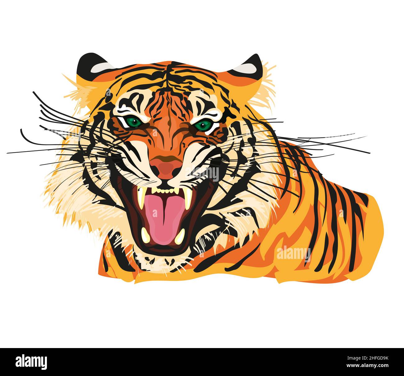 Amur tiger goes isolated on white background. Vector tiger side view ...