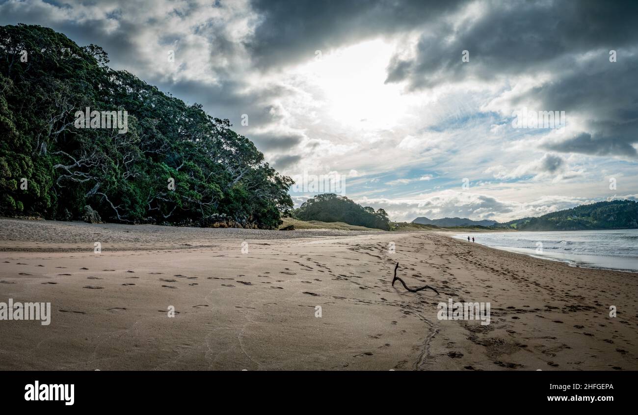 Thermal hot water spring pool in Hot Water beach in Mercury Bay on the