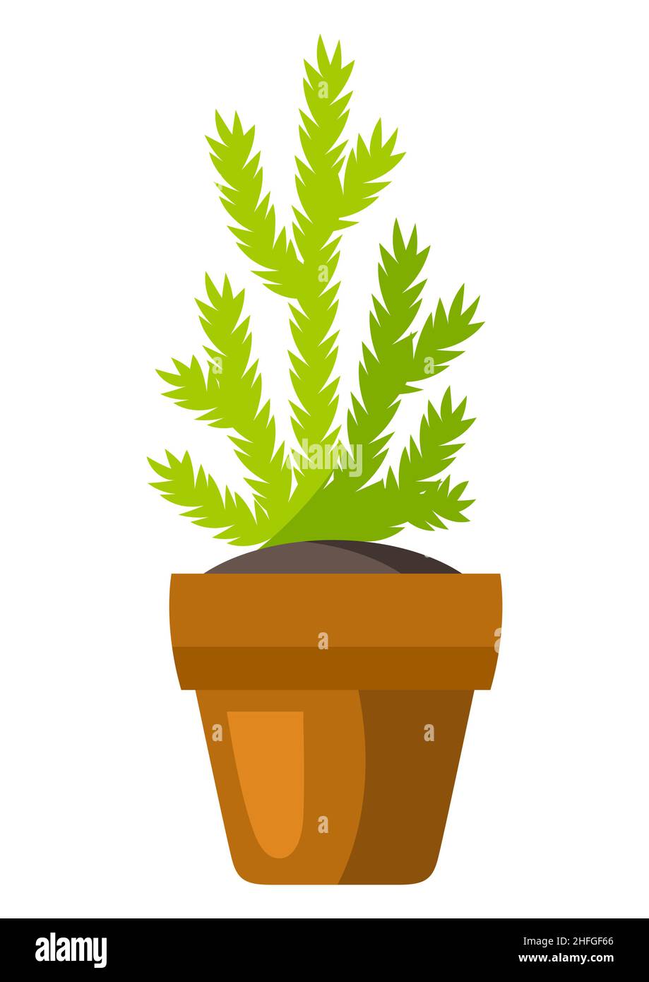 Illustration of tree in pot. Indoor or garden plant Stock Vector Image ...