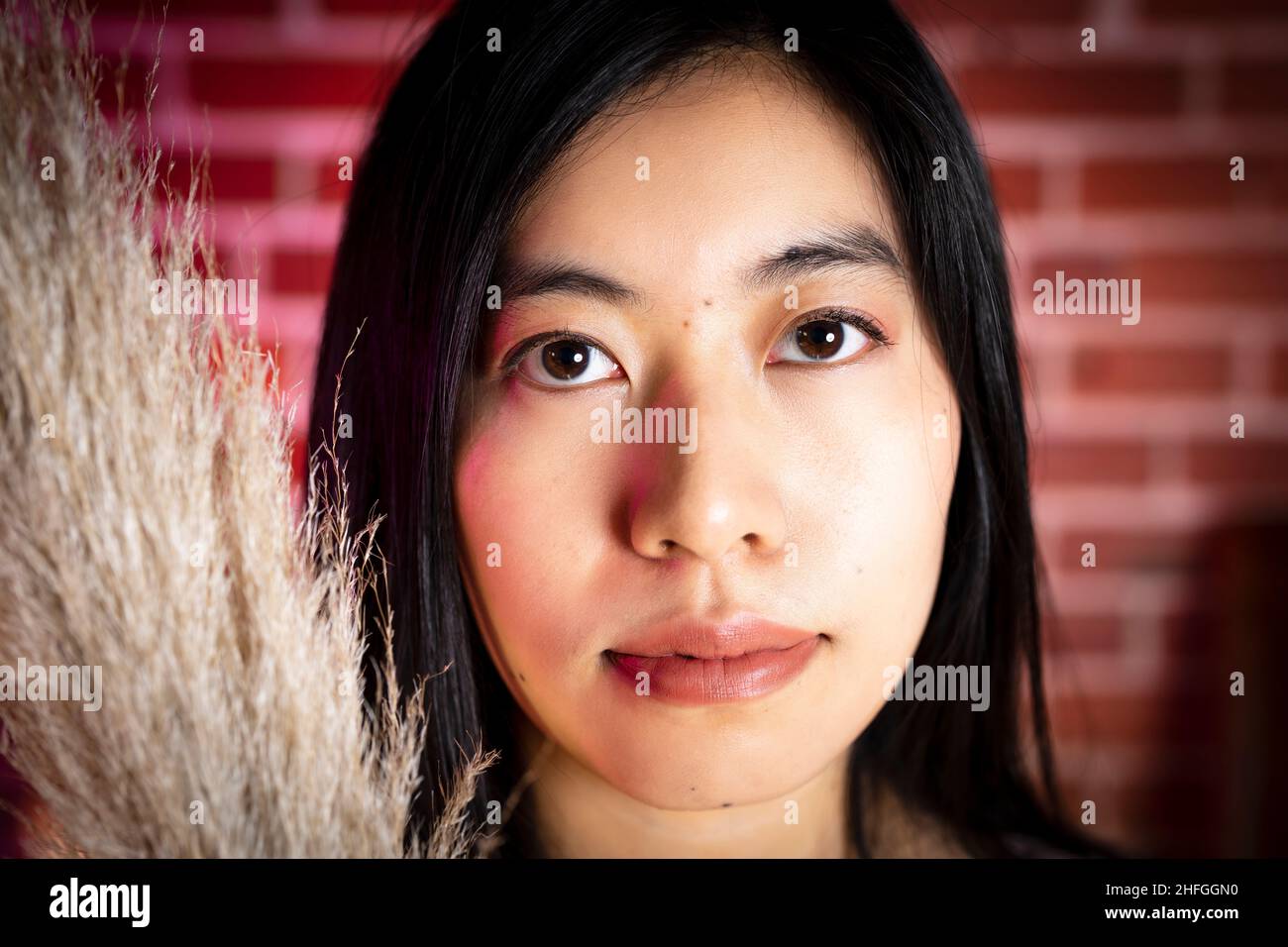 Portrait of a Young Asian Woman Holding Pampas Grass Against Bright Red Brink Wall Stock Photo