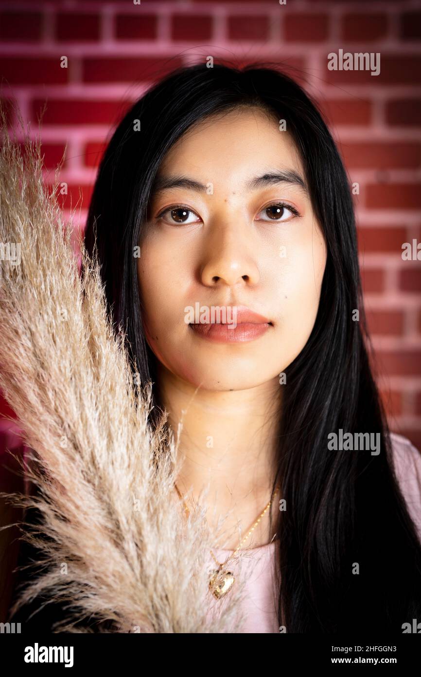 Portrait of a Young Asian Woman Holding Pampas Grass Against Bright Red Brink Wall Stock Photo