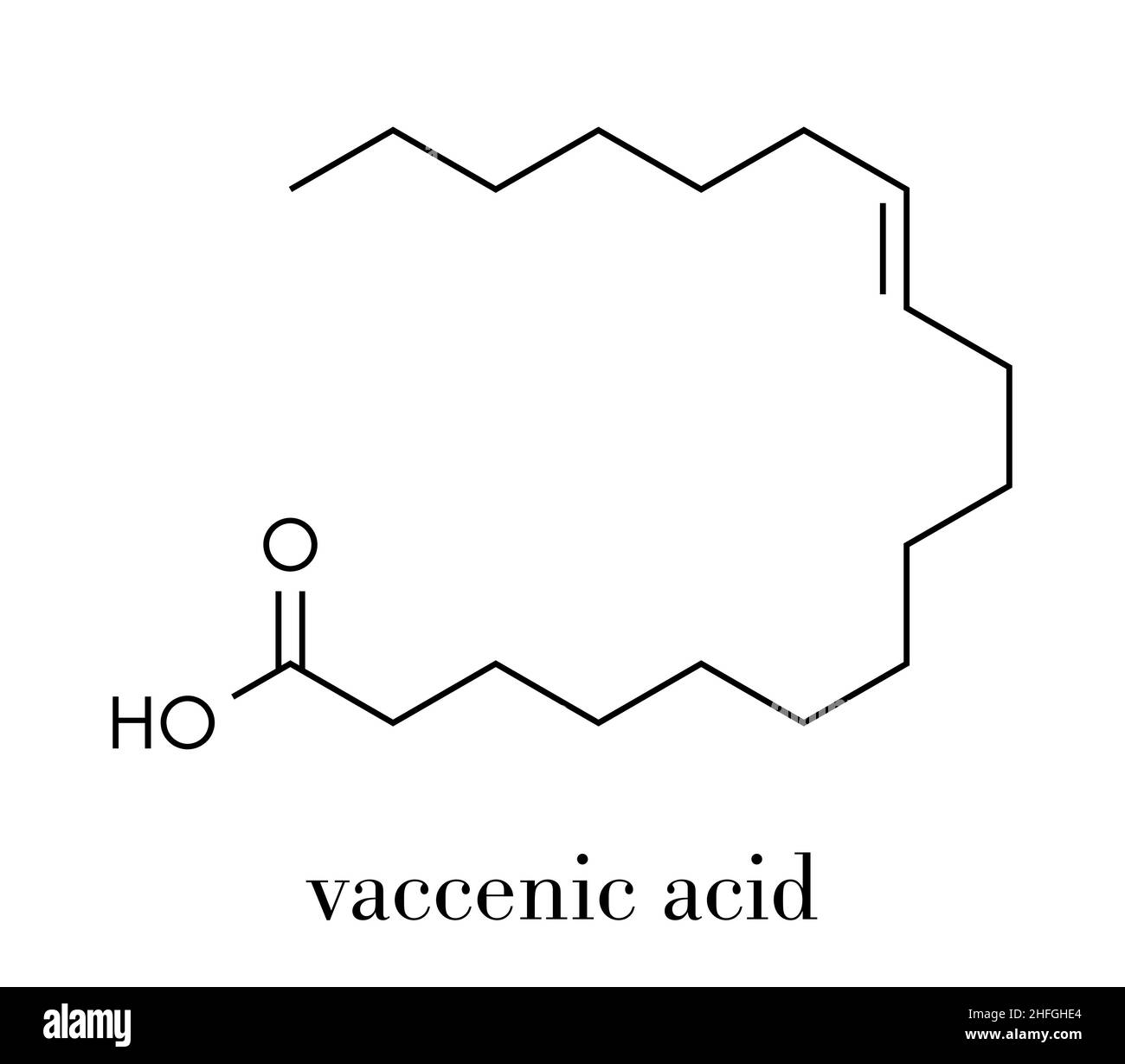 Vaccenic acid molecule. Trans fatty acid, present in animal fat and milk.  Skeletal formula Stock Vector Image & Art - Alamy
