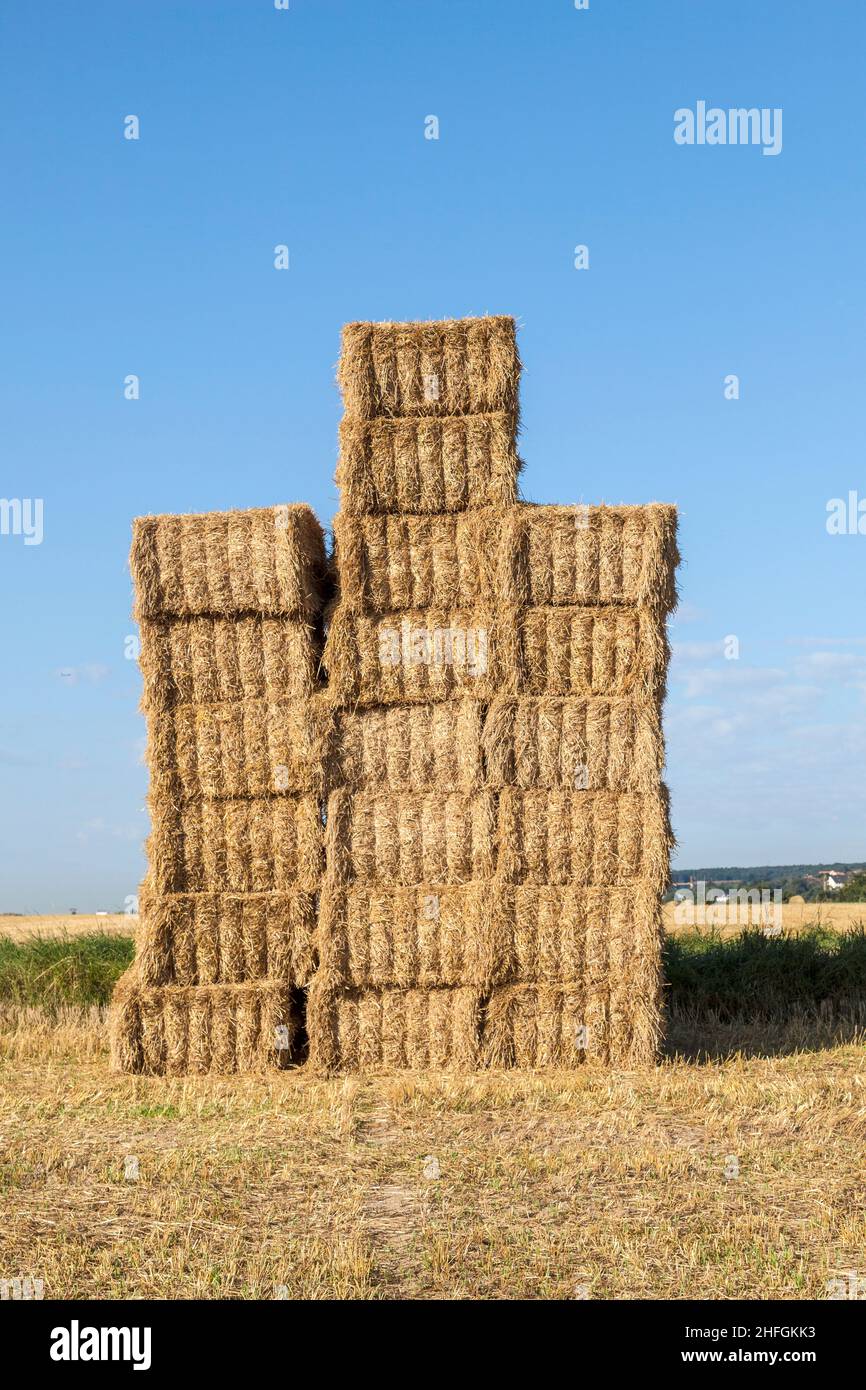 field in harvest with bale of straw under blue sky Stock Photo - Alamy