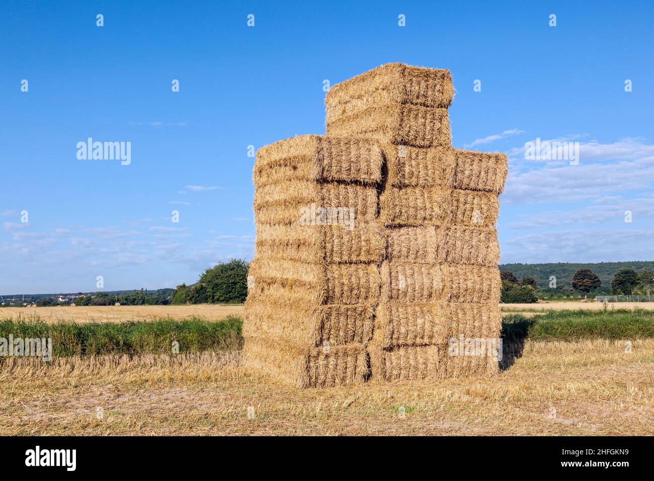 field in harvest with bale of straw under blue sky Stock Photo - Alamy