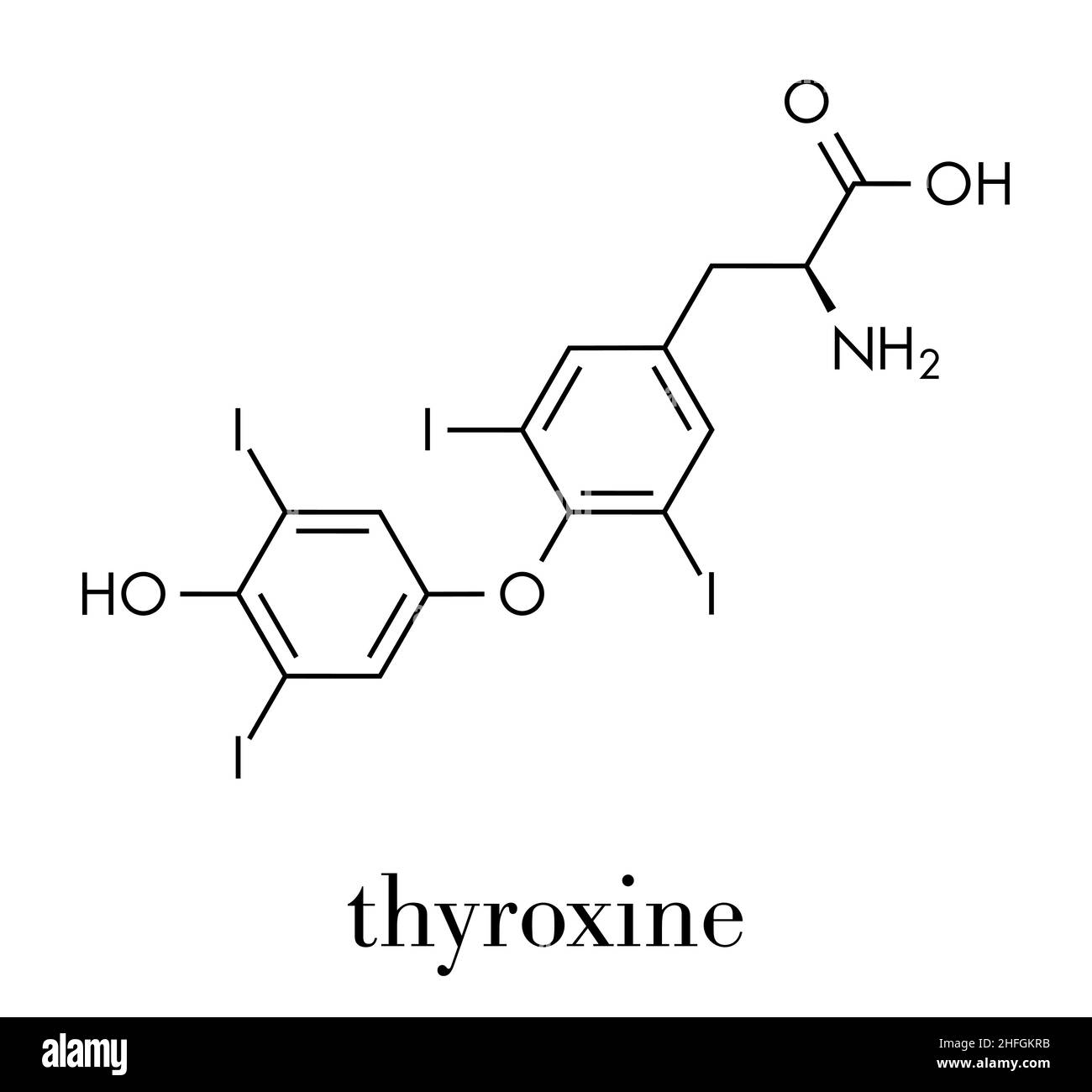 Thyroxine (T4, levothyroxine) thyroid hormone molecule. Prohormone of thyronine (T3). Used as drug to treat hypothyroidism. Skeletal formula. Stock Vector