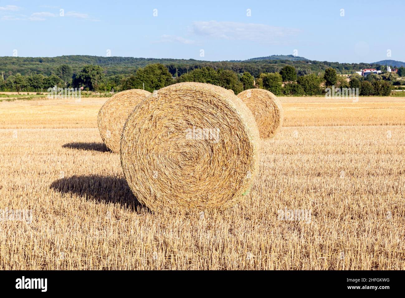 field in harvest with bale of straw under blue sky Stock Photo - Alamy