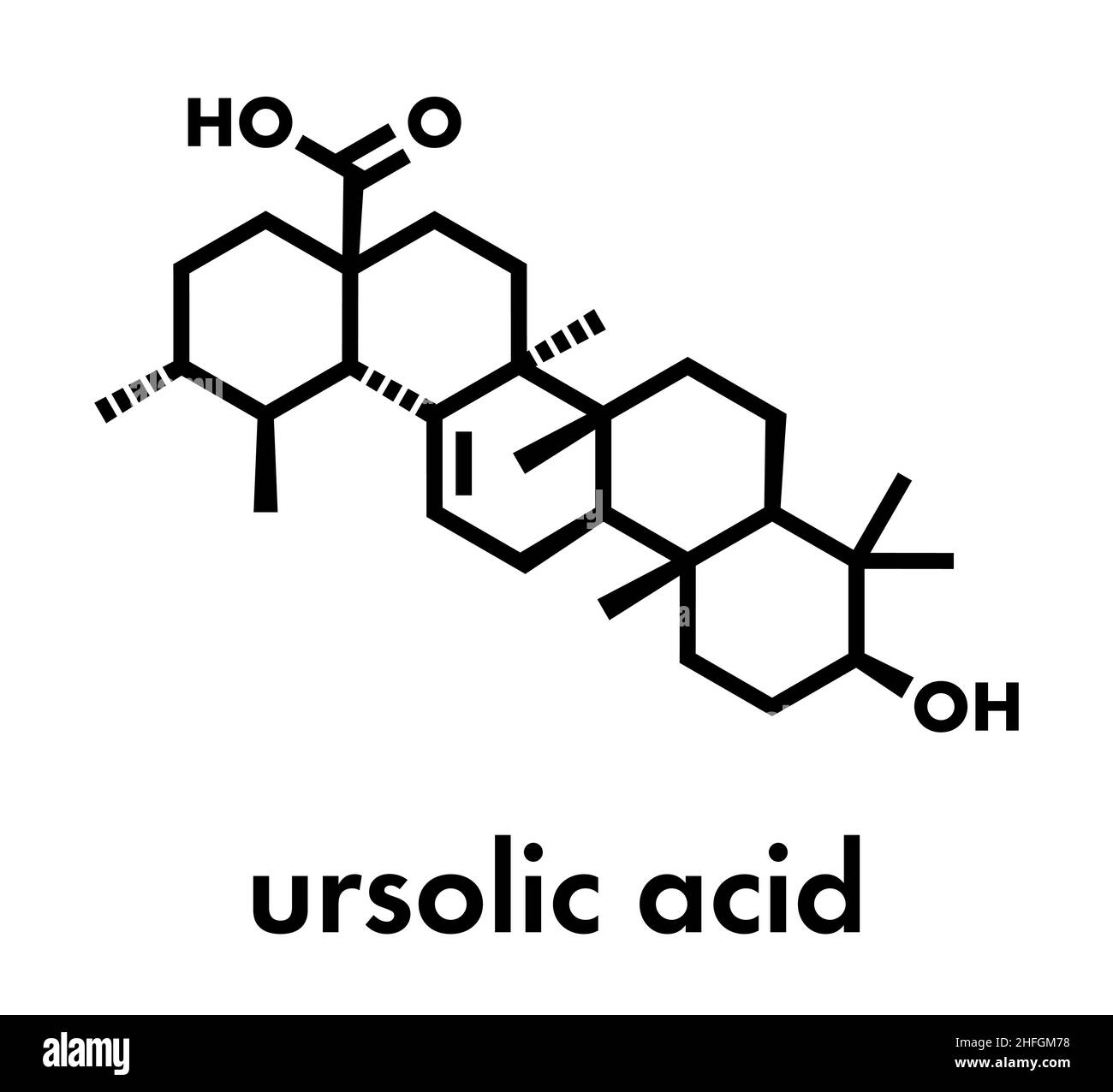 Ursolic acid molecule. Triterpenoid present in fruit peels. Skeletal formula. Stock Vector