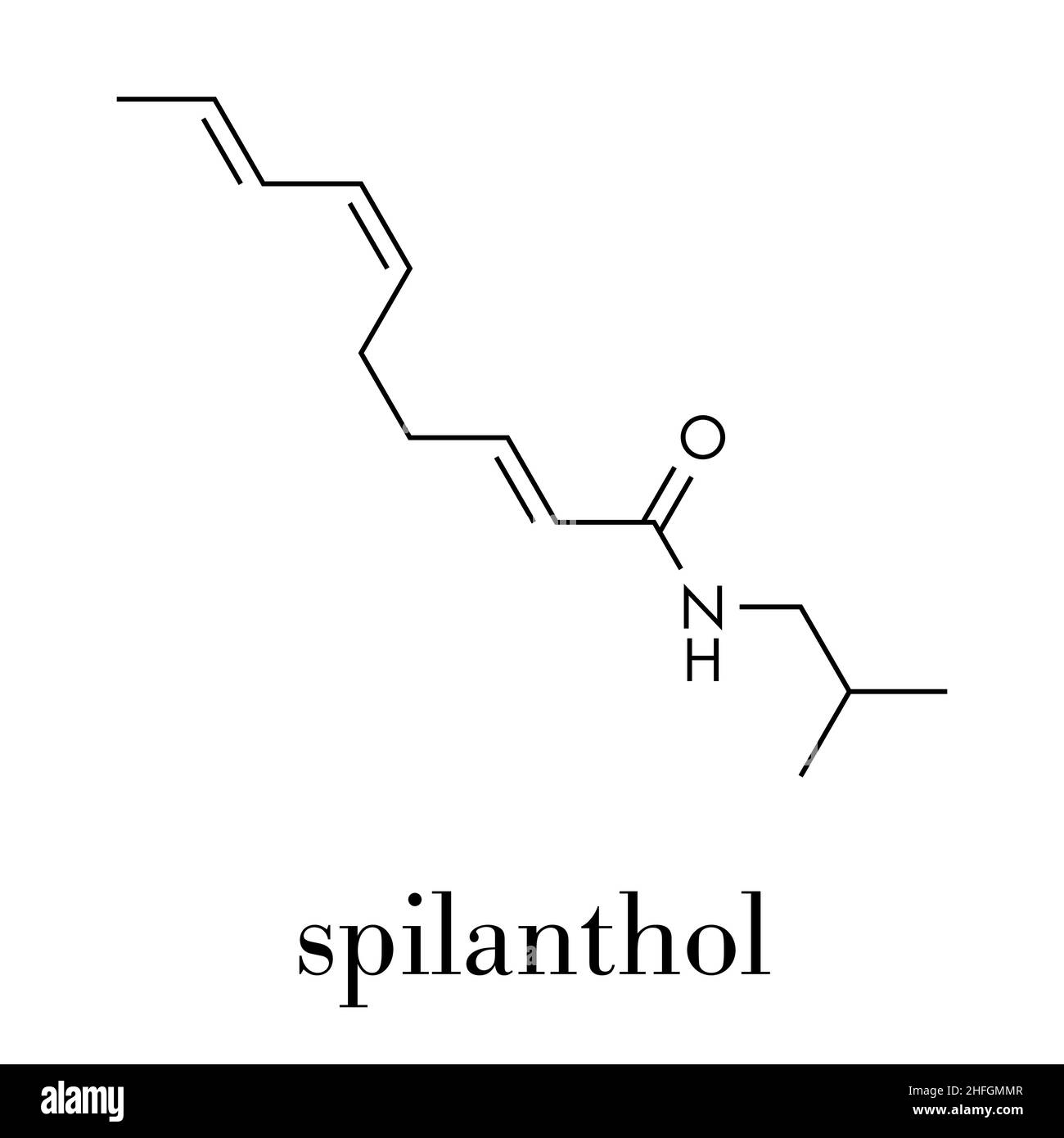 Spilanthol molecule. Local anesthetic present in Acmella oleracea (toothache plant). Skeletal formula. Stock Vector