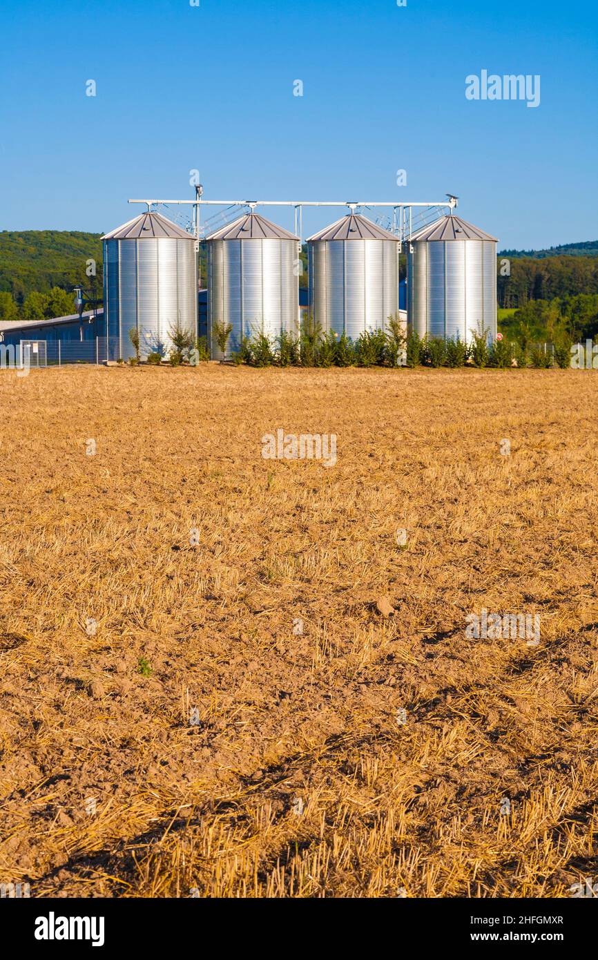 golden corn field in harvest with silo Stock Photo - Alamy