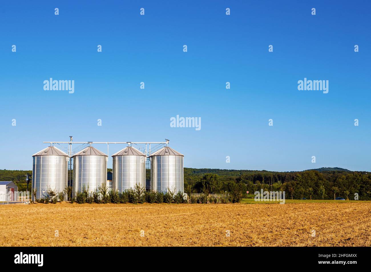 golden corn field in harvest with silo Stock Photo - Alamy