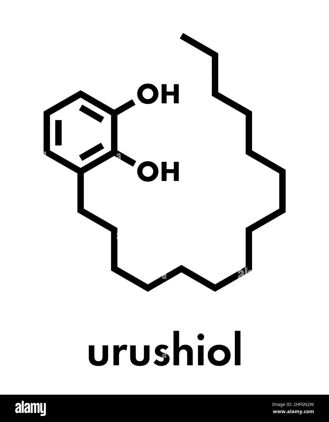 Urushiol poison ivy allergen molecule. Also present in poison oak, lacquer tree and poison sumac. Urushiol is a mixture of closely related components, Stock Vector