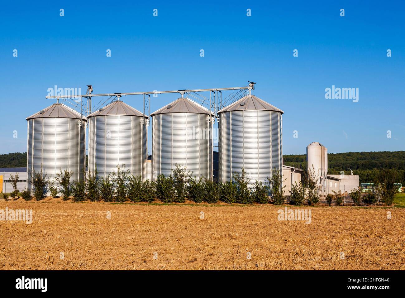 golden corn field in harvest with silo Stock Photo - Alamy