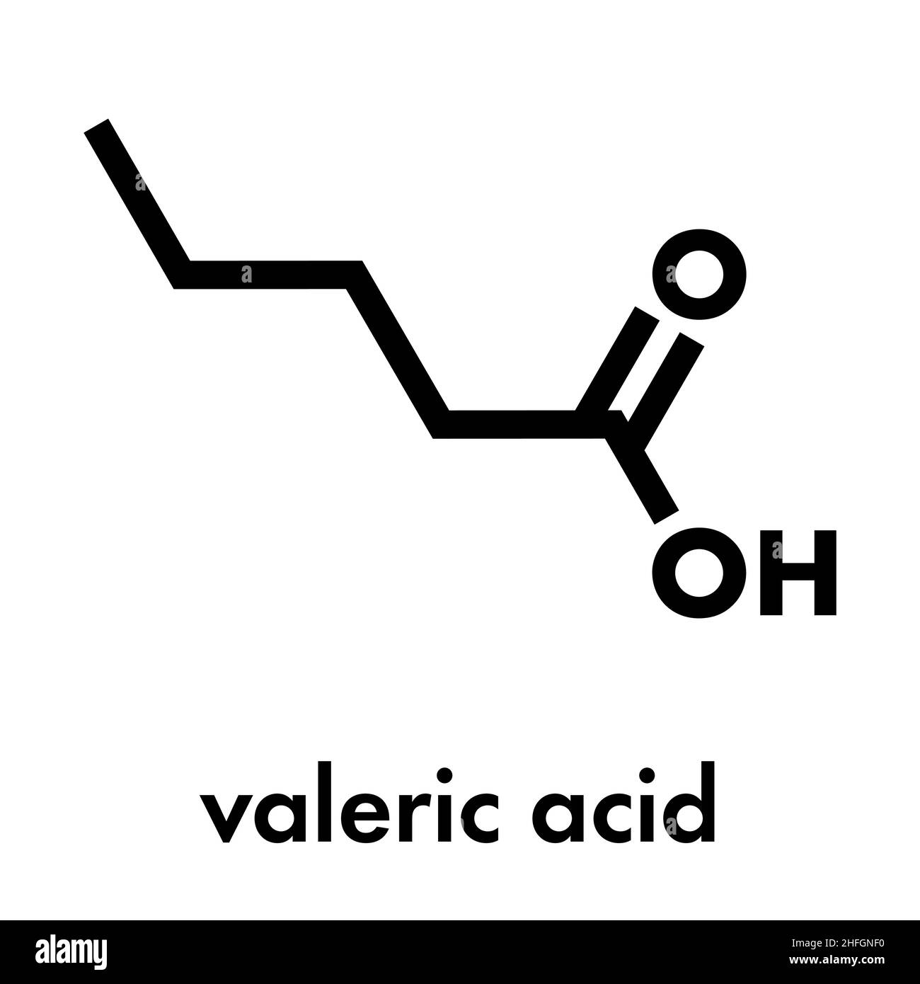 Valeric acid molecule. Smelly molecule, present in the plant valerian  (Valeriana officinalis). Skeletal formula Stock Vector Image & Art - Alamy