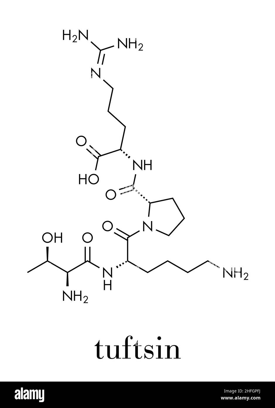 Tuftsin tetrapeptide molecule. Skeletal formula. Stock Vector