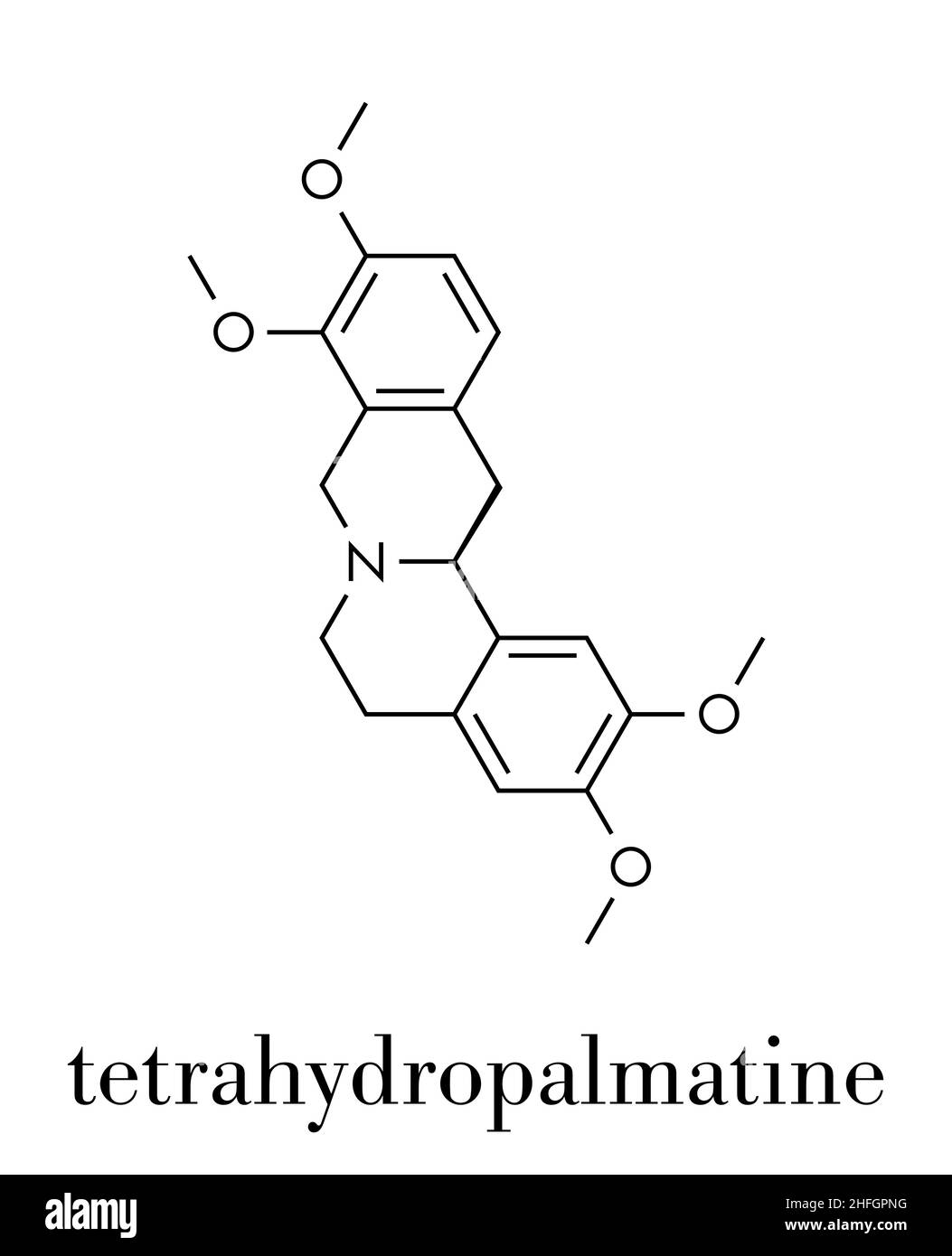 Tetrahydropalmatine (THP) herbal alkaloid molecule. Skeletal formula. Stock Vector