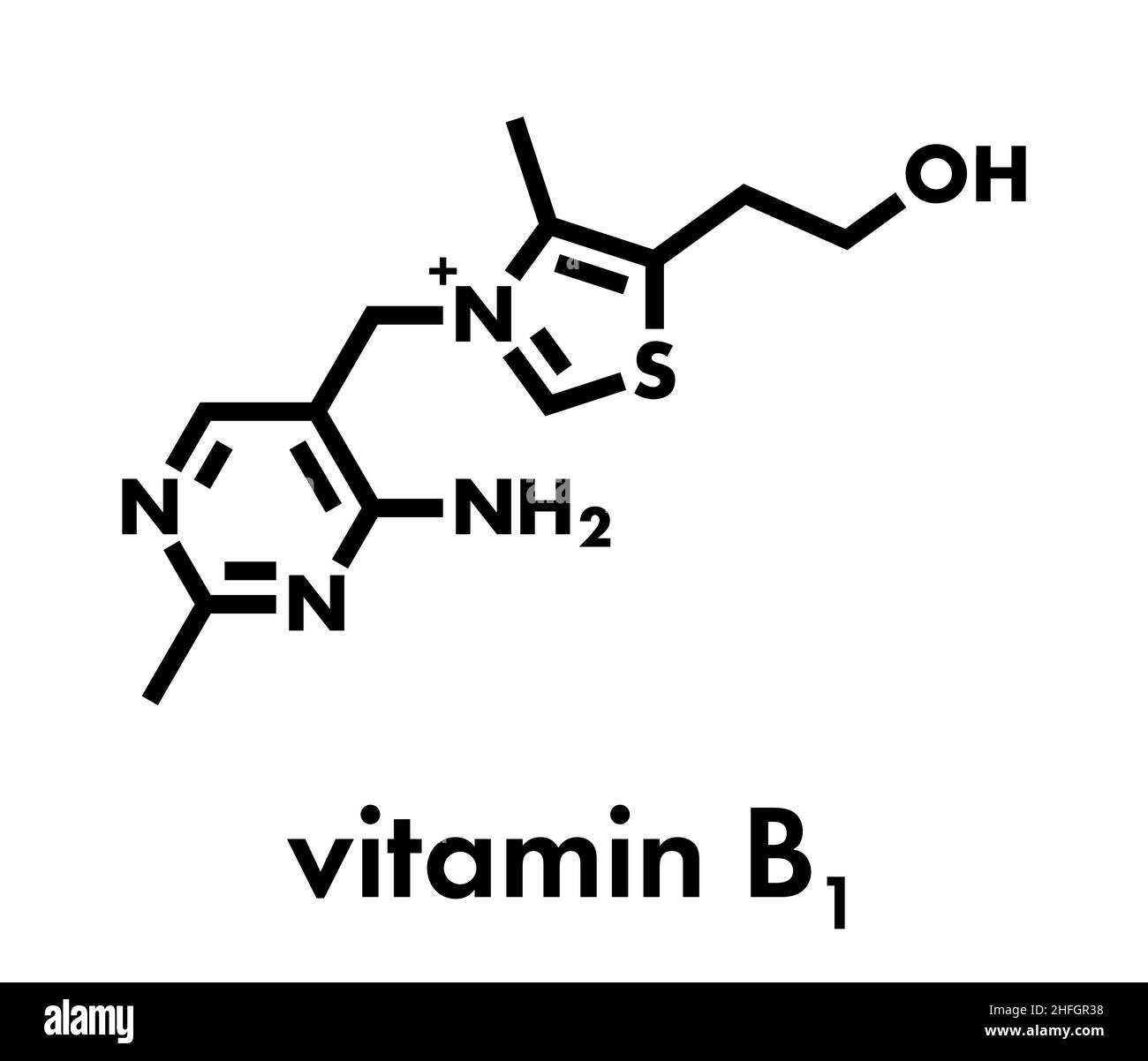 Vitamin B1 (thiamine) molecule. Skeletal formula Stock Vector Image