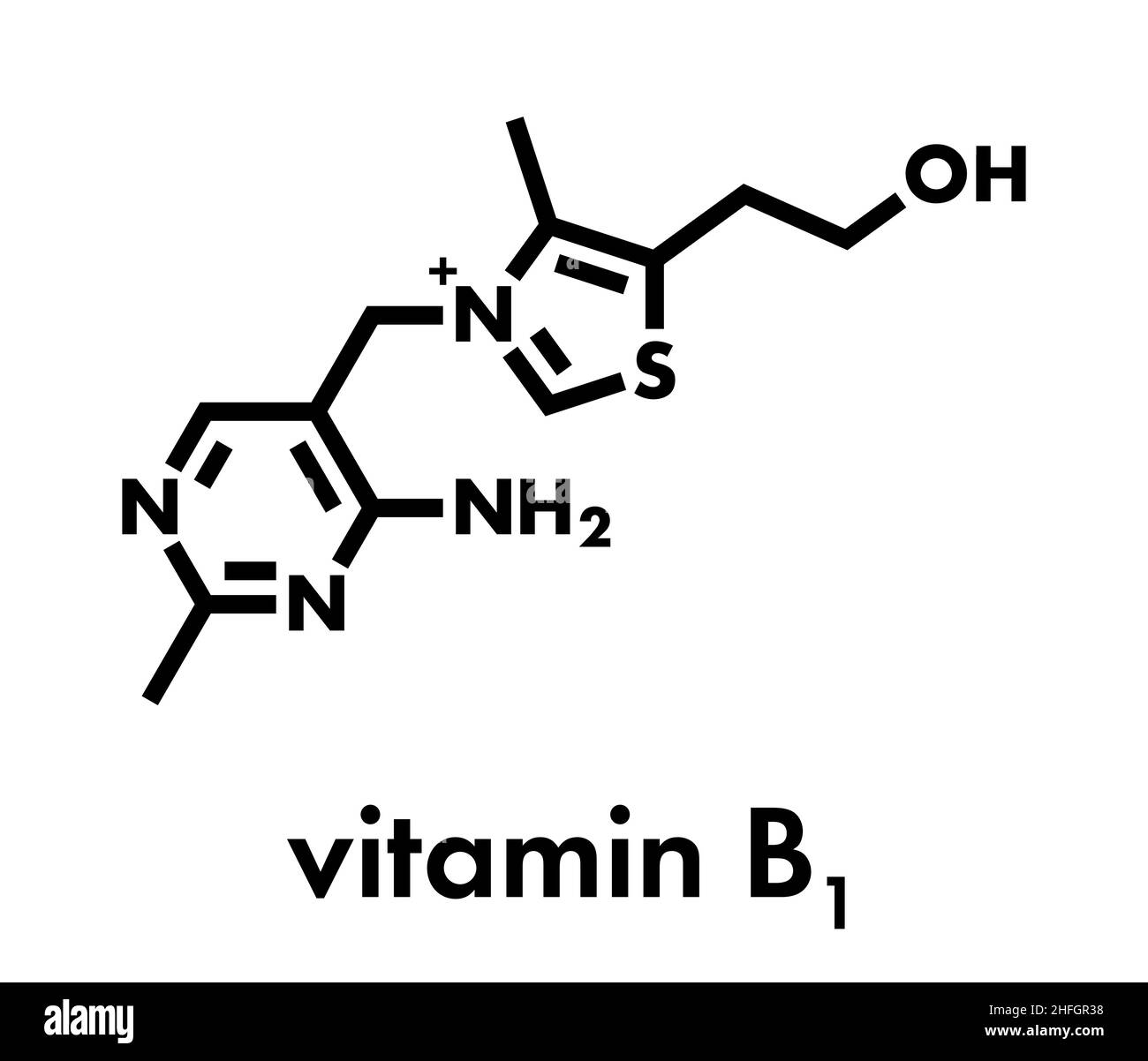 Vitamin B1 (thiamine) molecule. Skeletal formula. Stock Vector