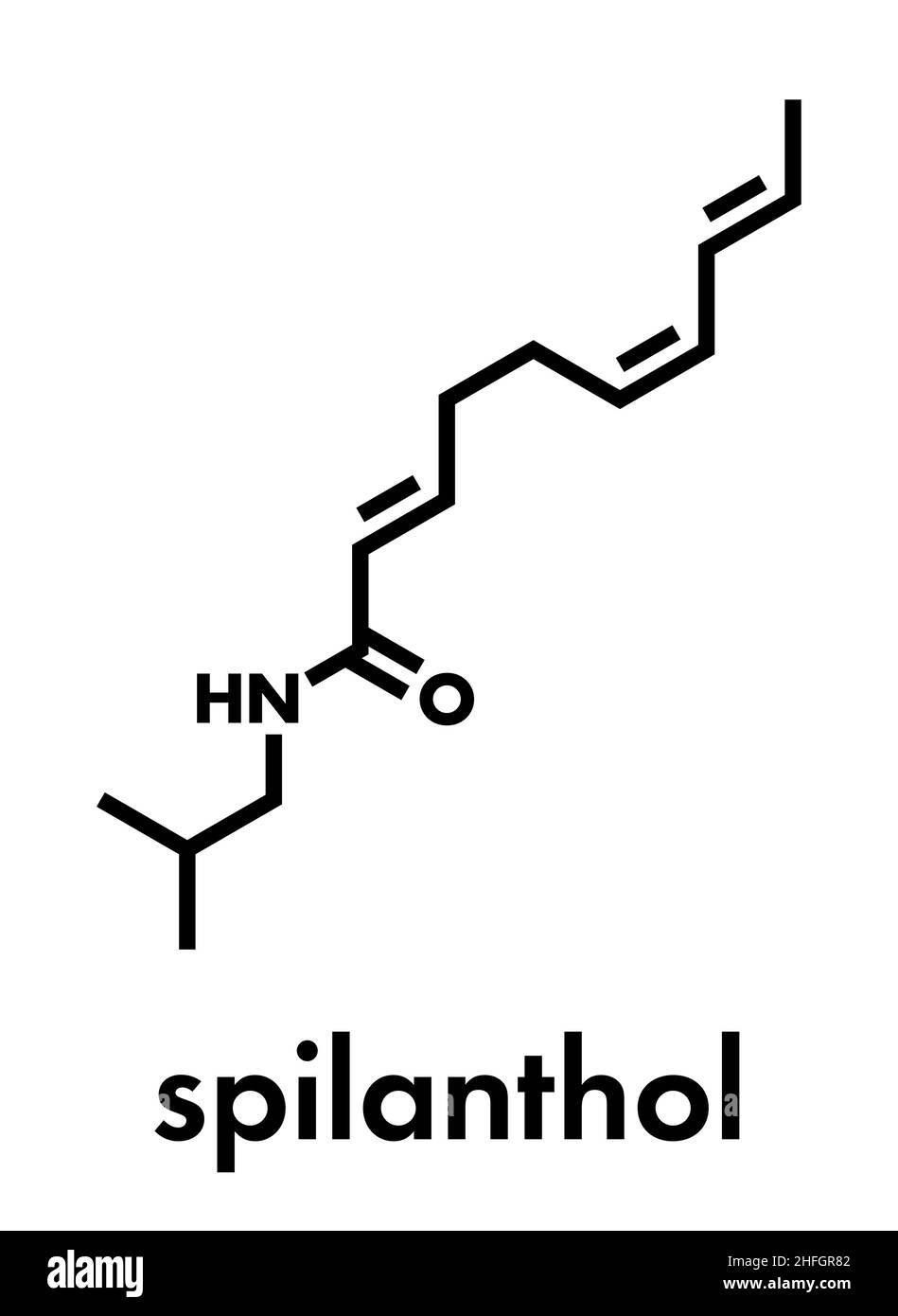 Spilanthol molecule. Local anesthetic present in Acmella oleracea (toothache plant). Skeletal formula. Stock Vector