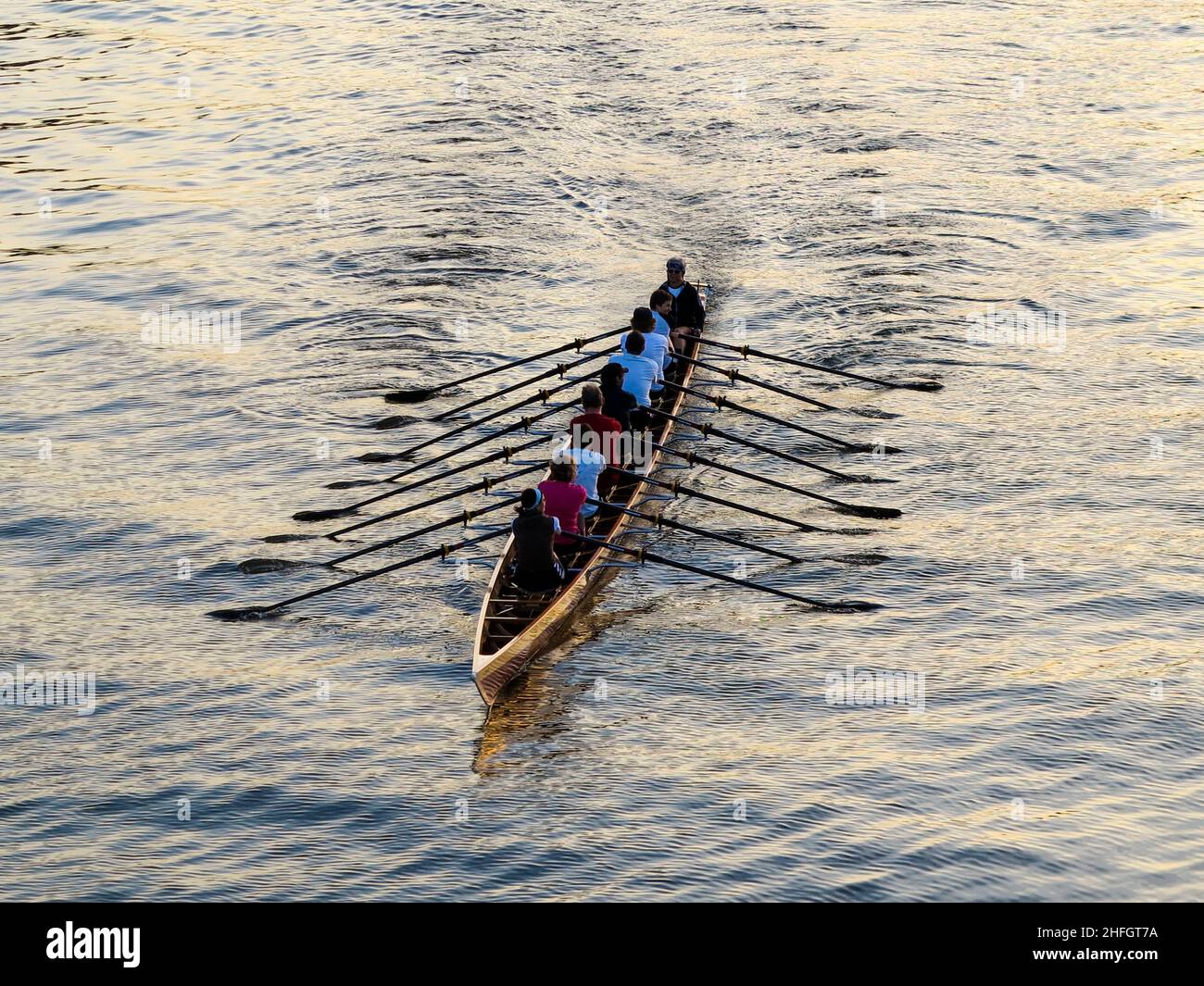 rowers training on the river Stock Photo Alamy