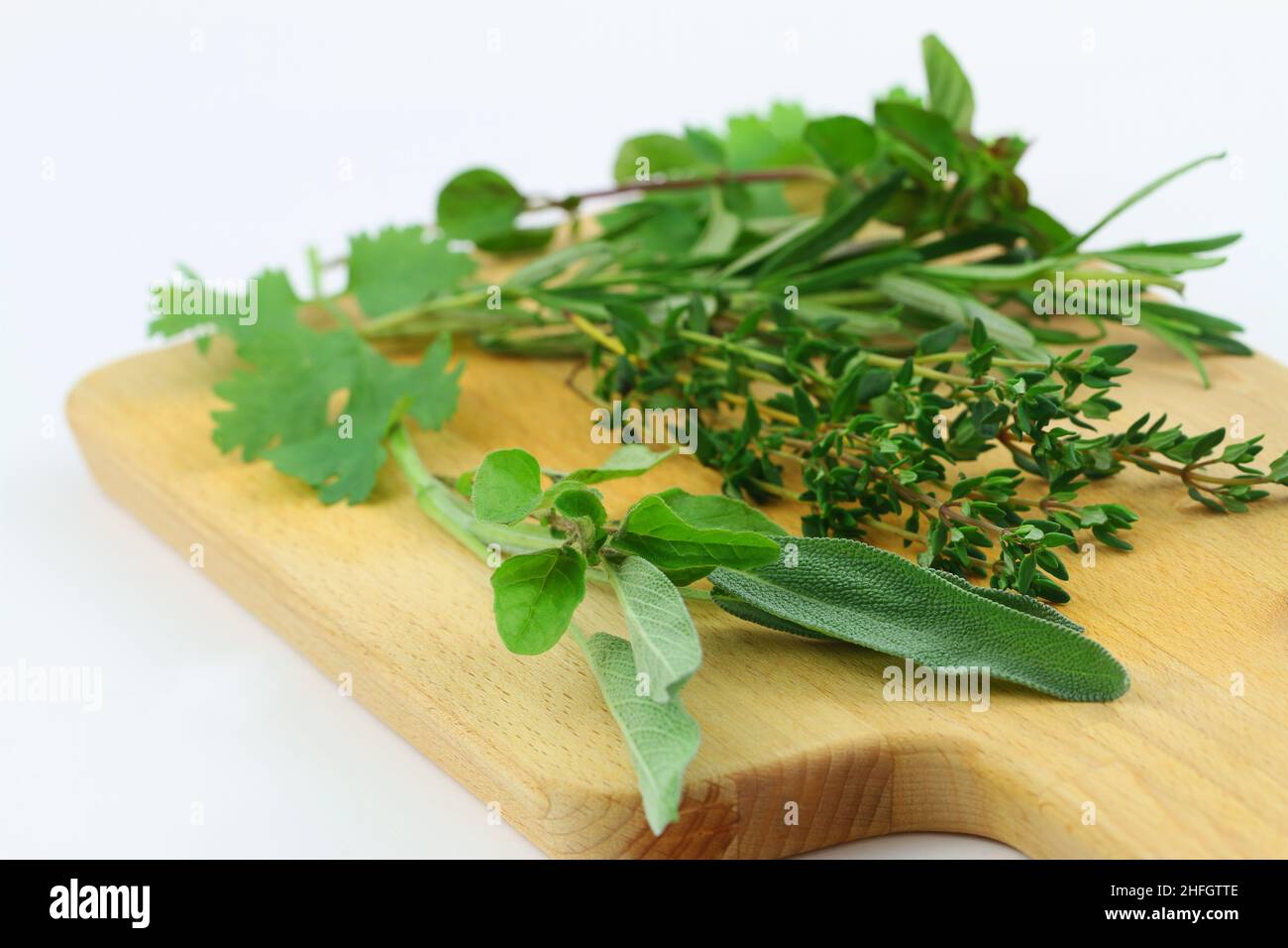 Selection of fresh herbs on wooden board on white background (coriander, thyme, rosemary, sage) Stock Photo