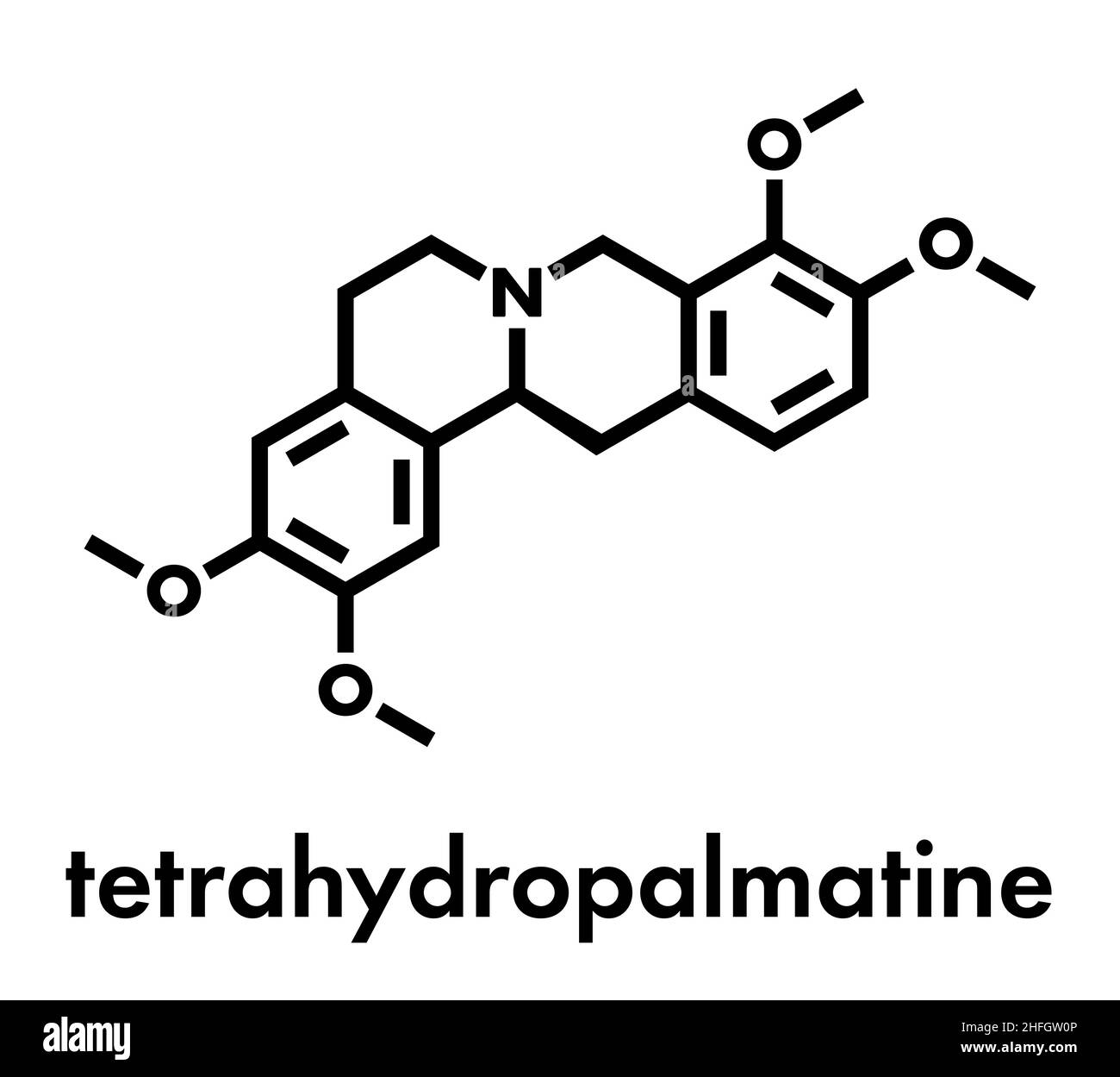 Tetrahydropalmatine (THP) herbal alkaloid molecule. Skeletal formula. Stock Vector