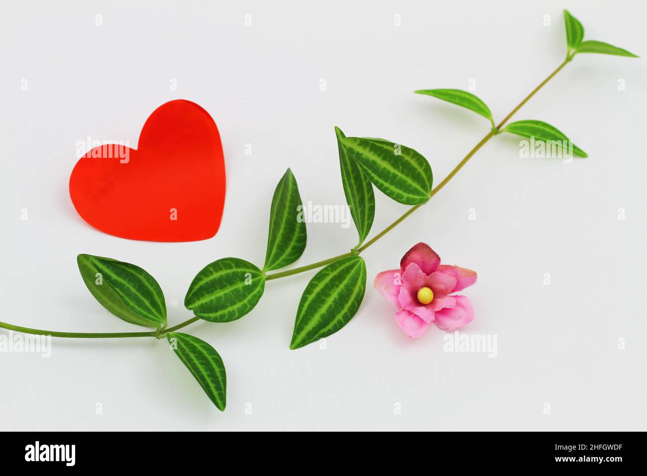 Red heart, green leaves and pink flower on white surface with copy space Stock Photo