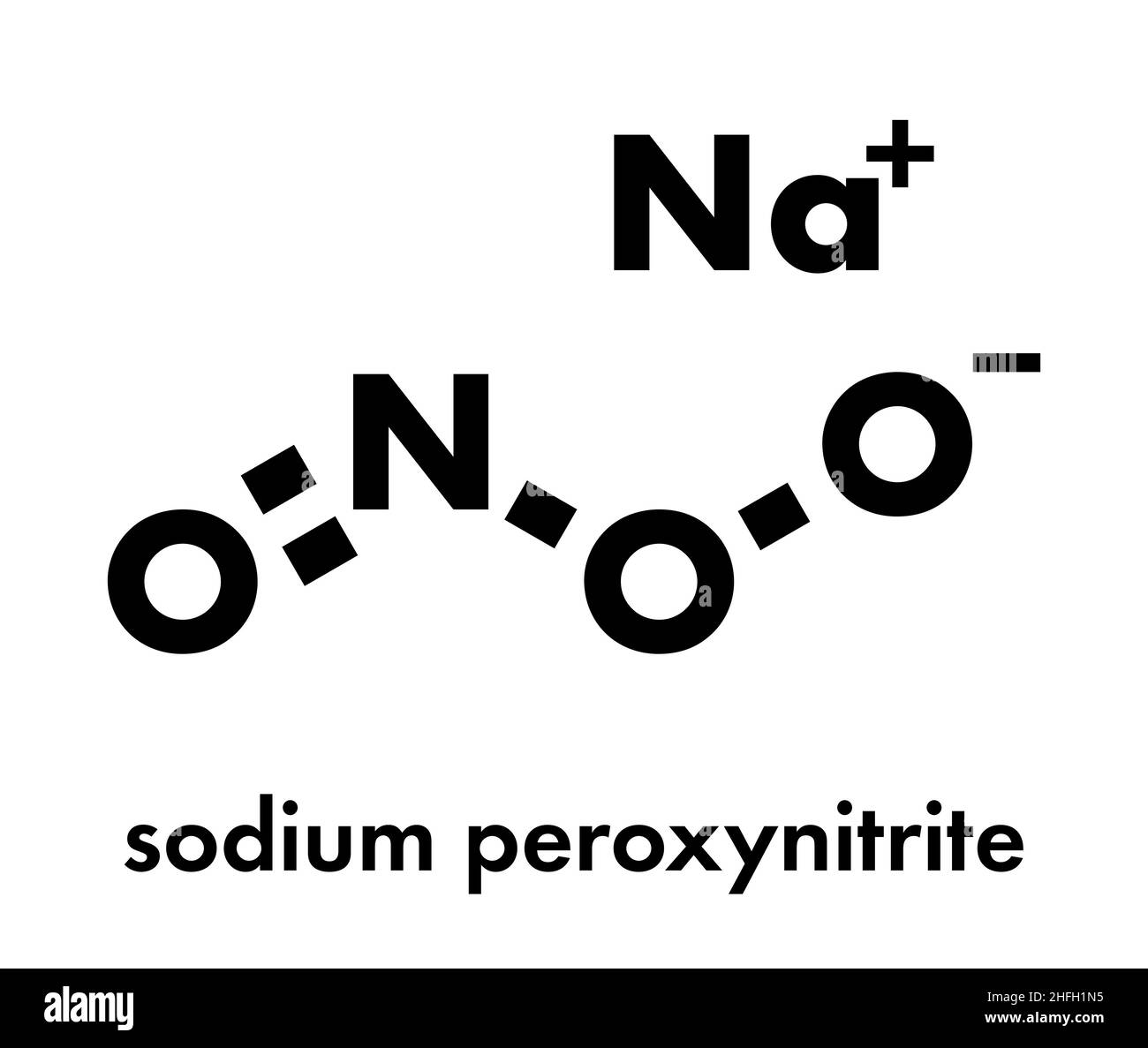 Peroxynitrite (sodium) reactive nitrogen species molecule. Formed by